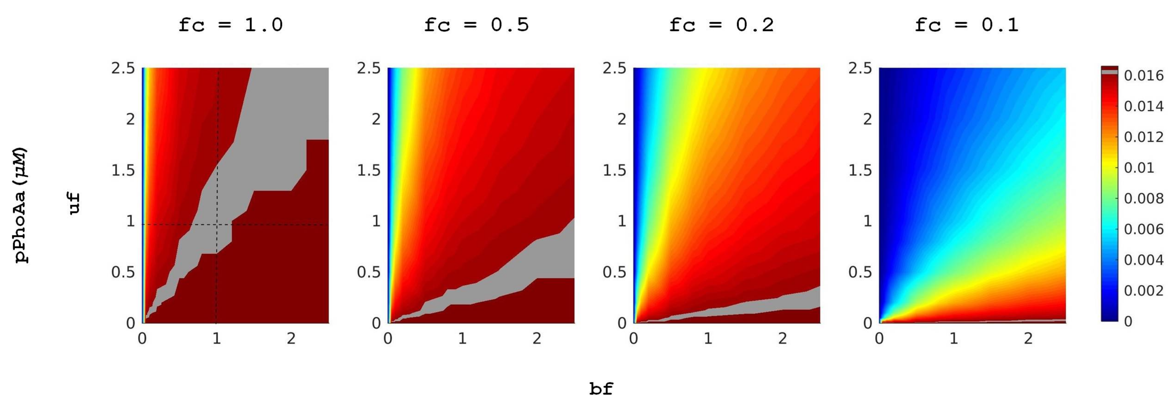 Biology 10 00724 g004