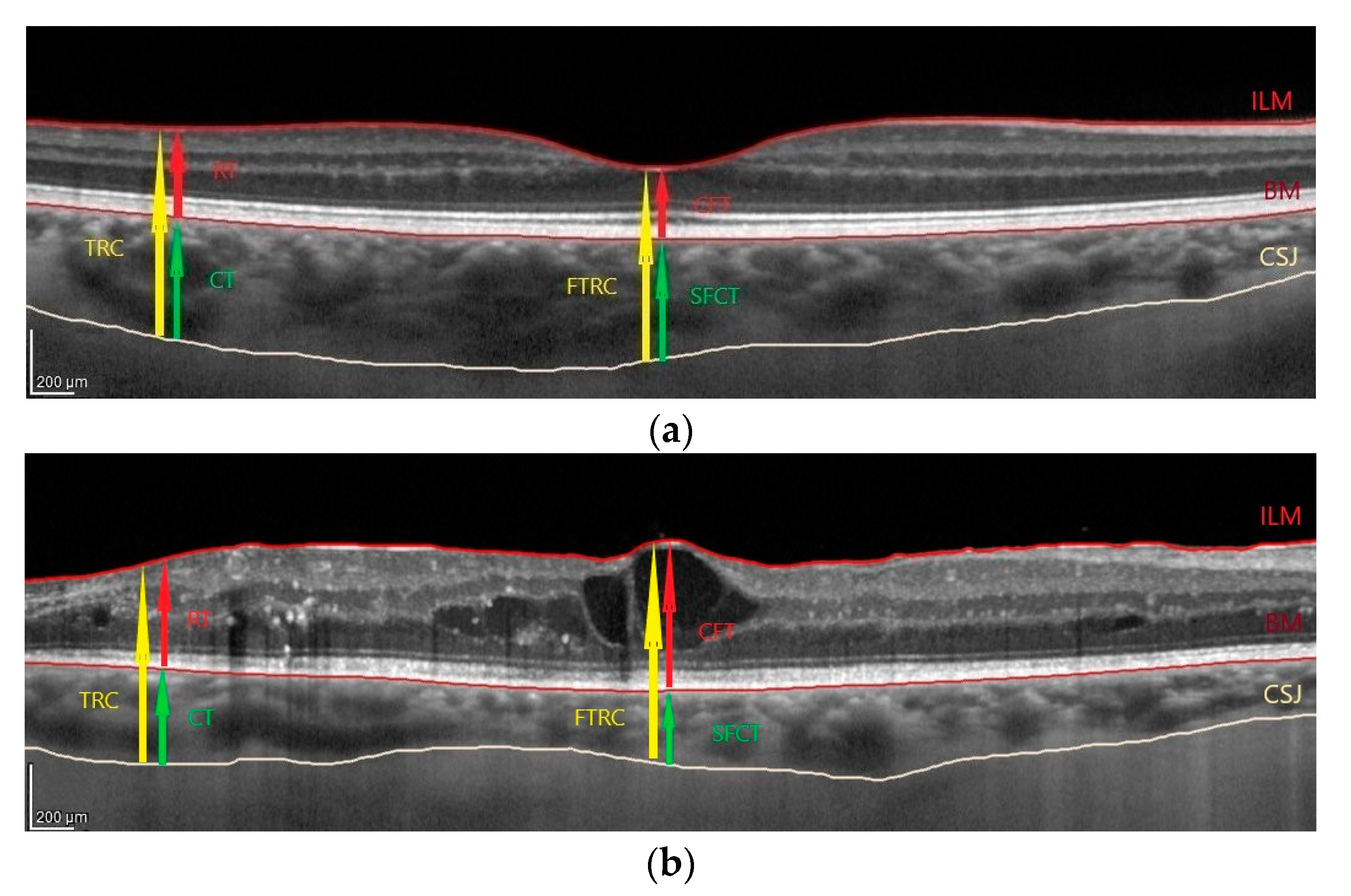 Biology 10 00725 g001a Biology 10 00725 g001a