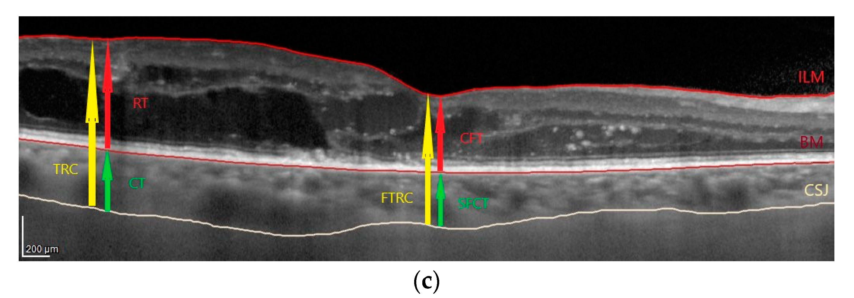 Biology 10 00725 g001b Biology 10 00725 g001b