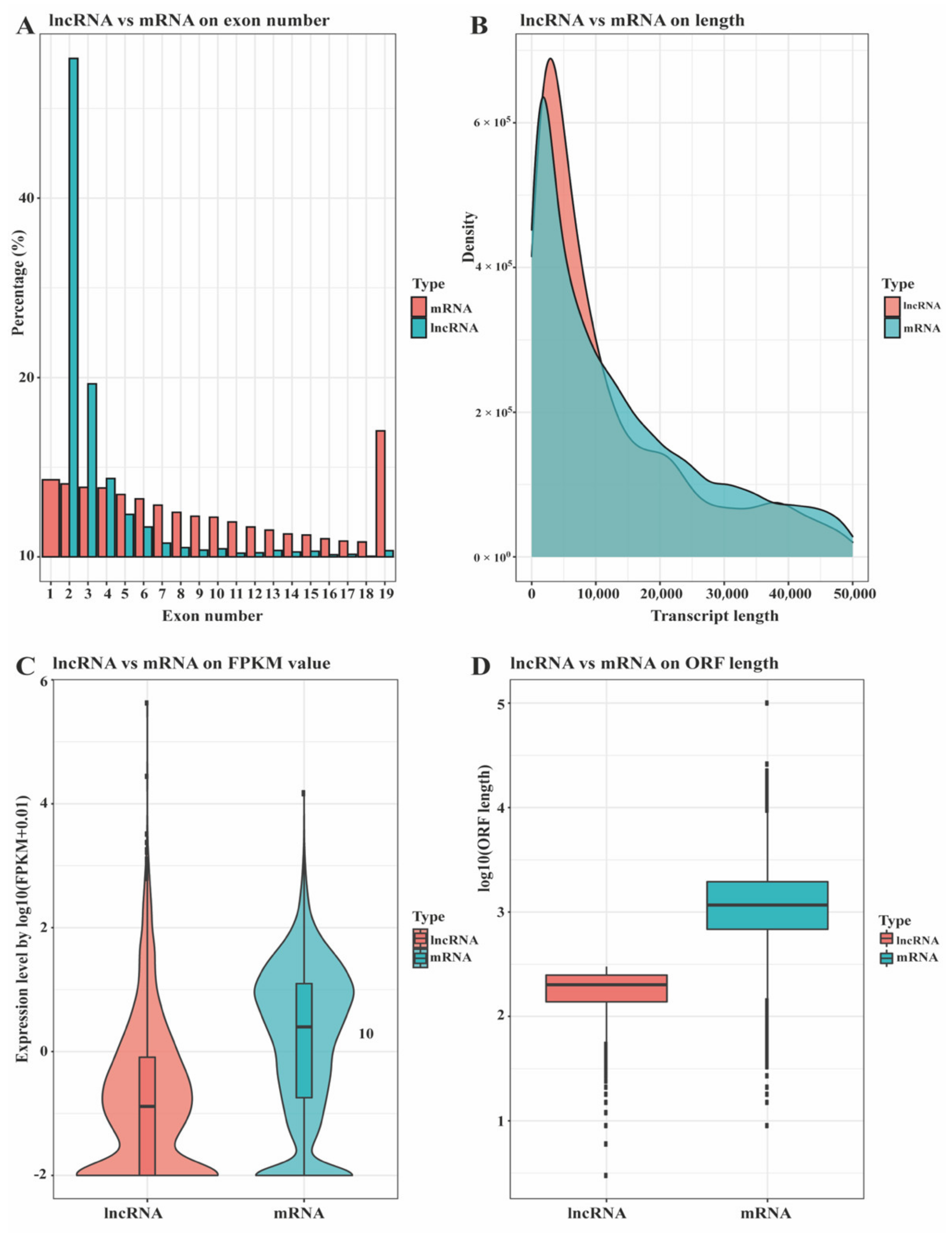 Biology 10 00726 g001