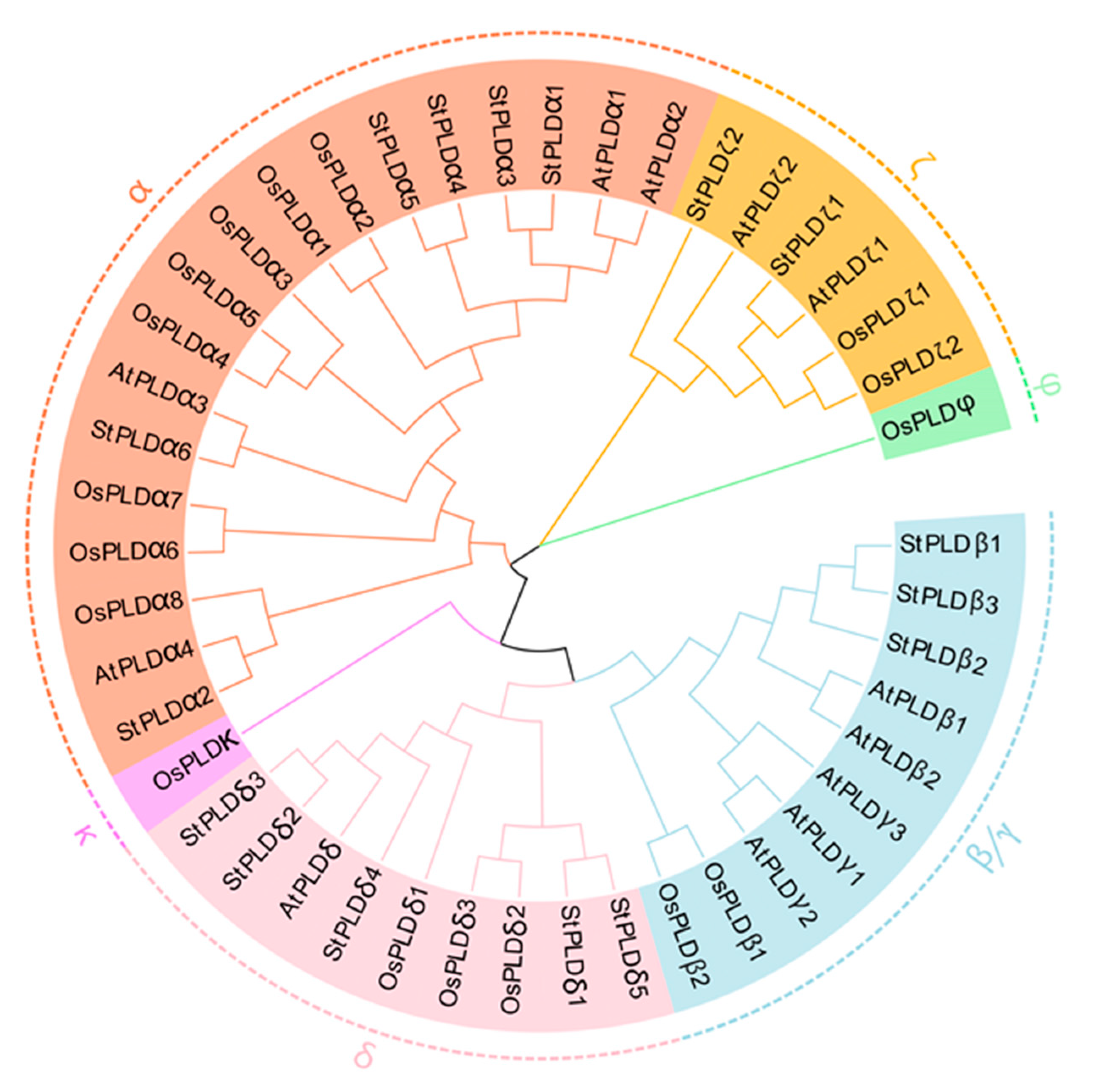 Biology 10 00741 g001