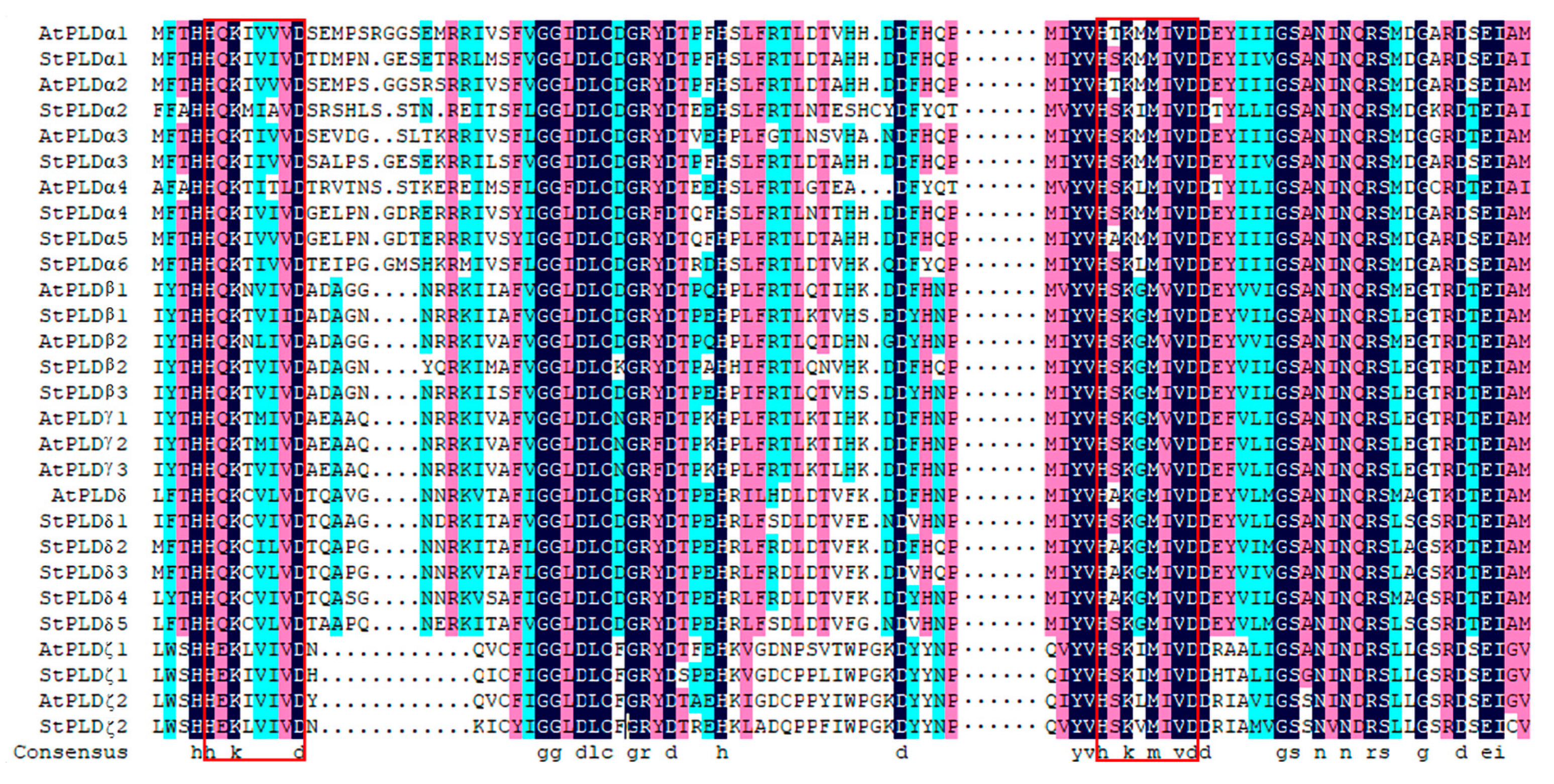 Biology 10 00741 g002