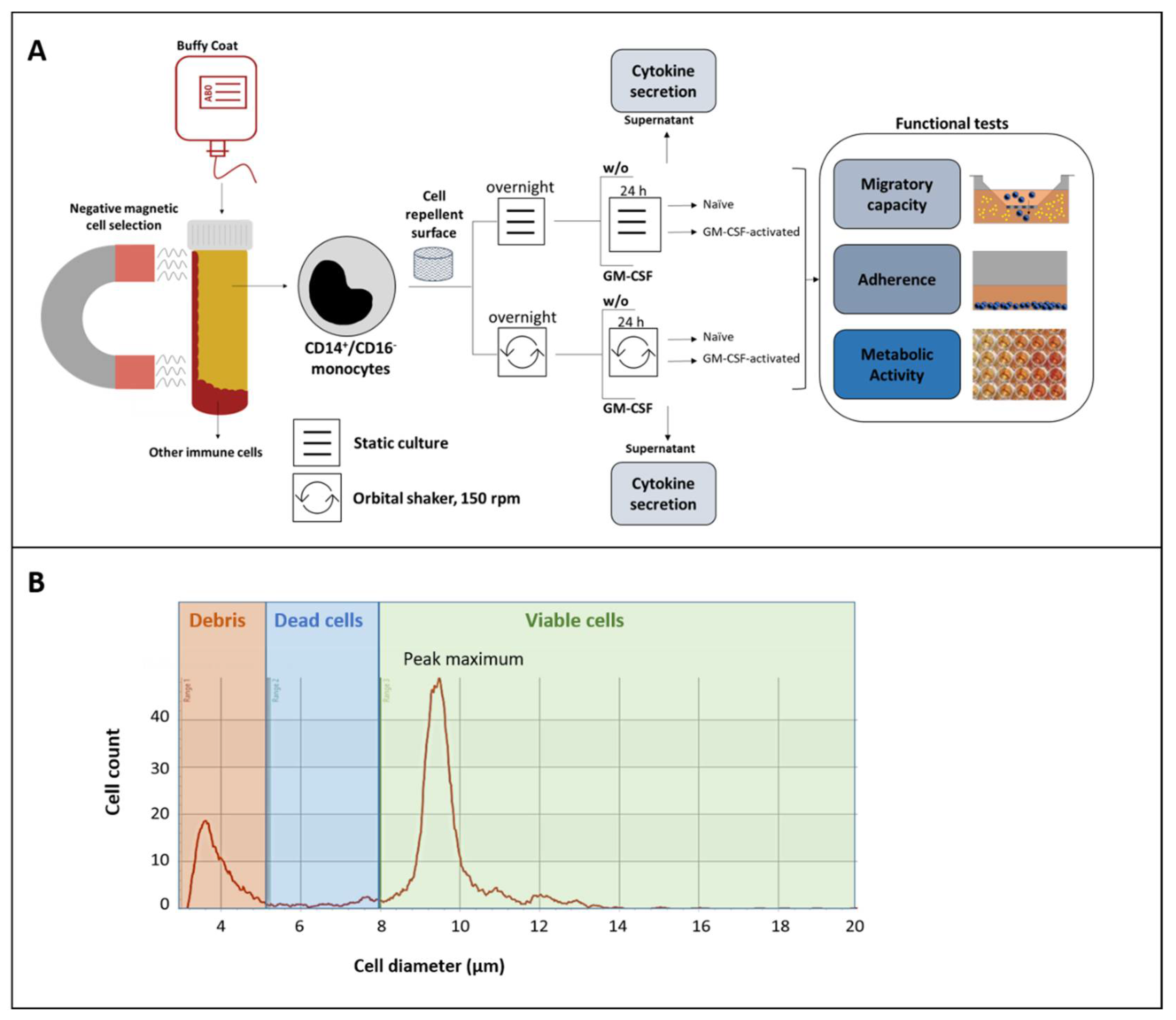 Biology 10 00748 g001