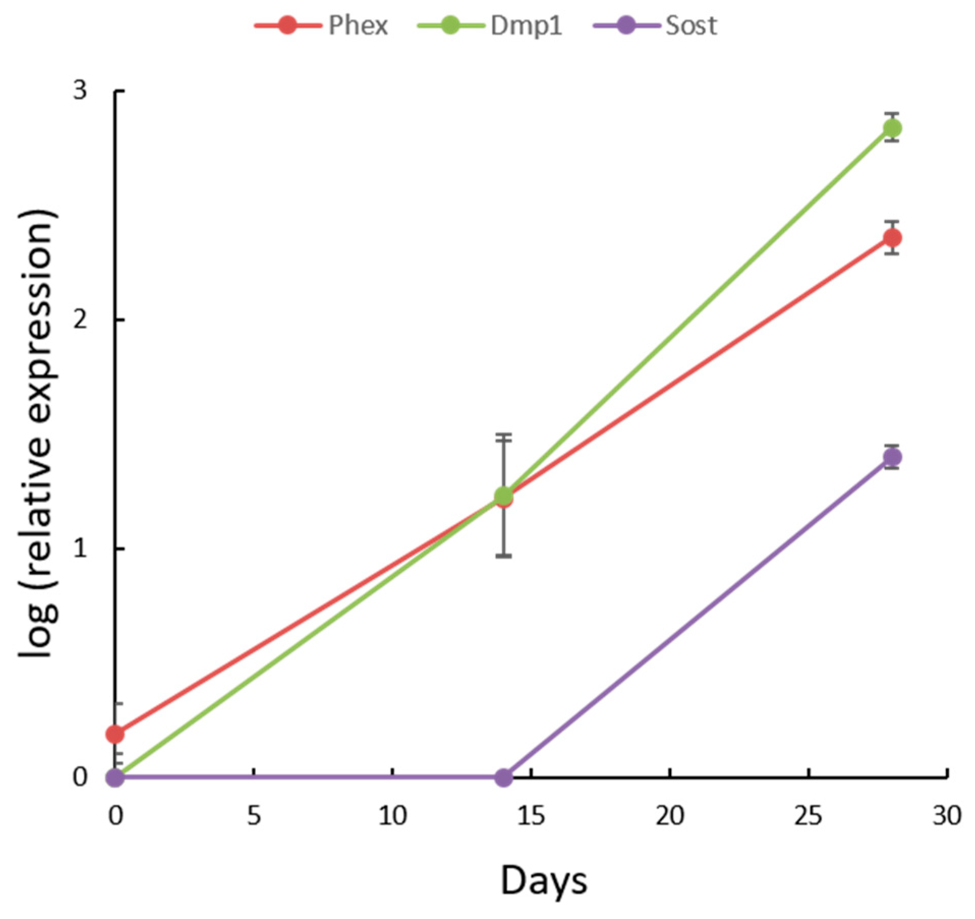 Biology 10 00757 g001 Biology 10 00757 g001