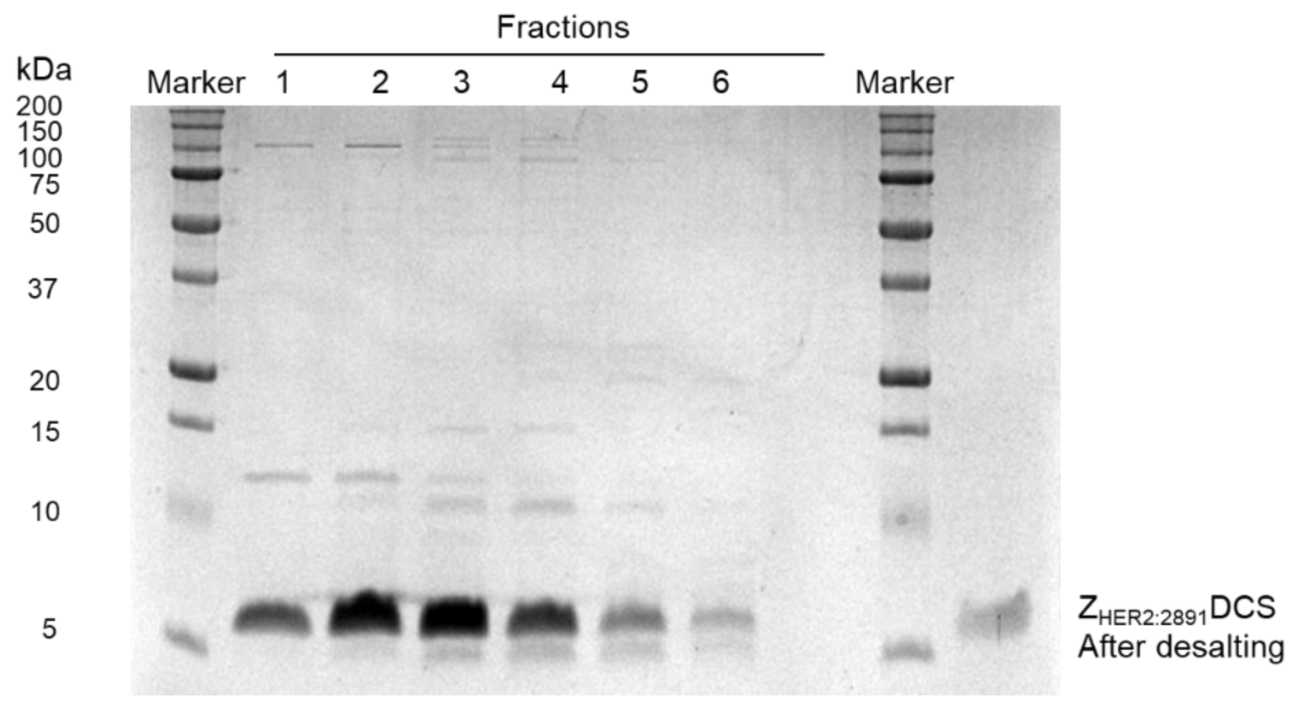 Biology 10 00758 g003 Biology 10 00758 g003