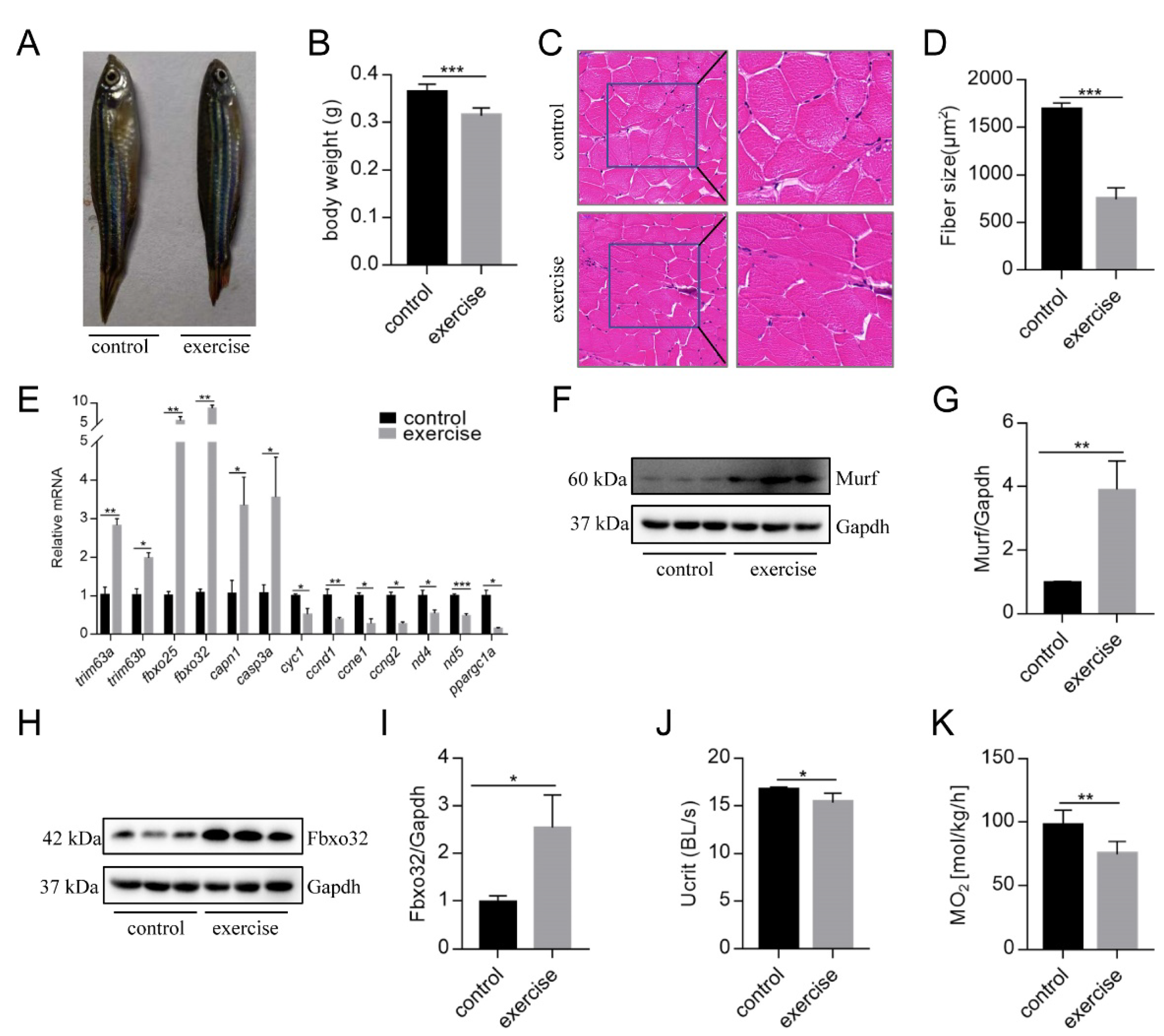 Biology 10 00761 g001