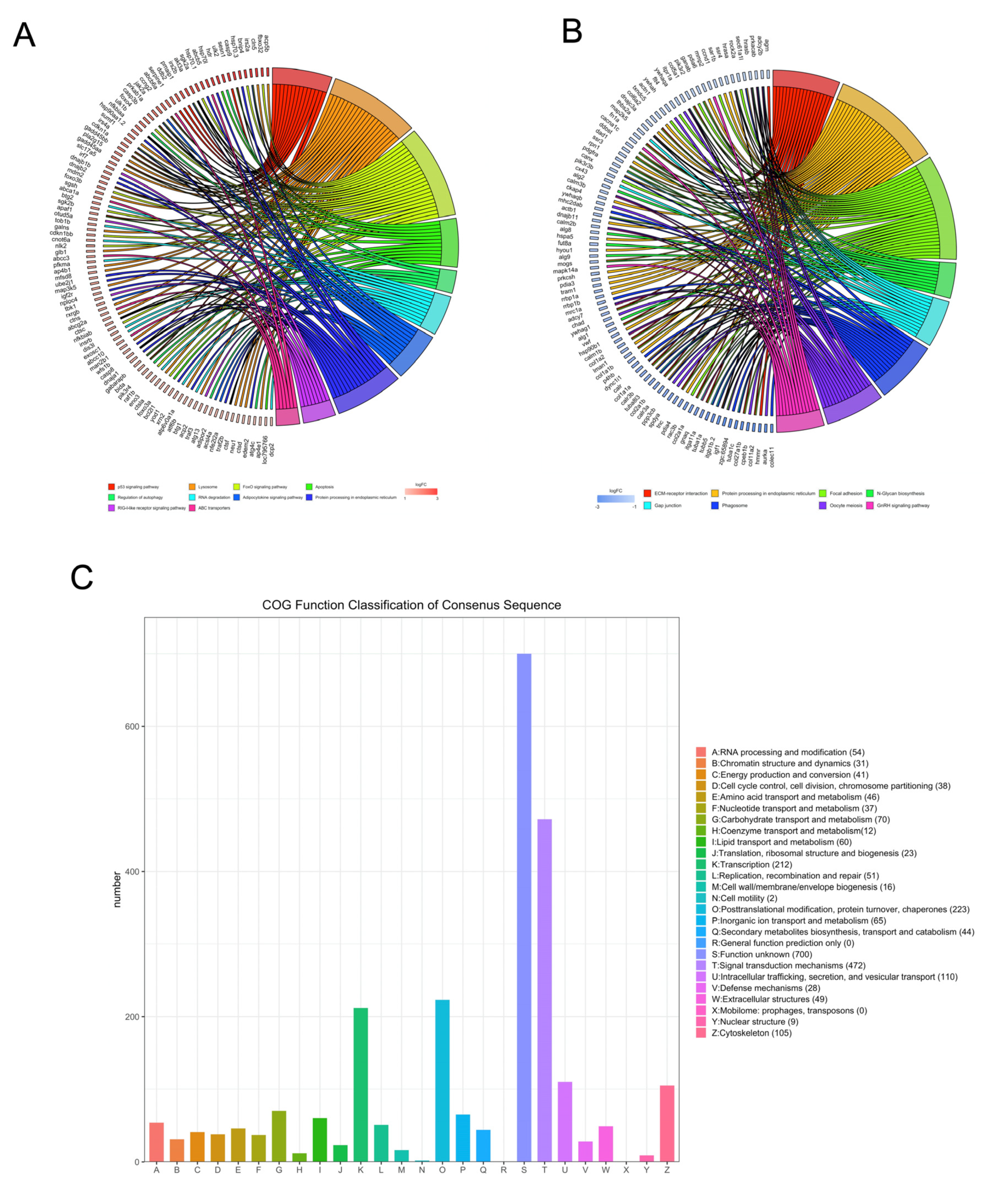 Biology 10 00761 g003