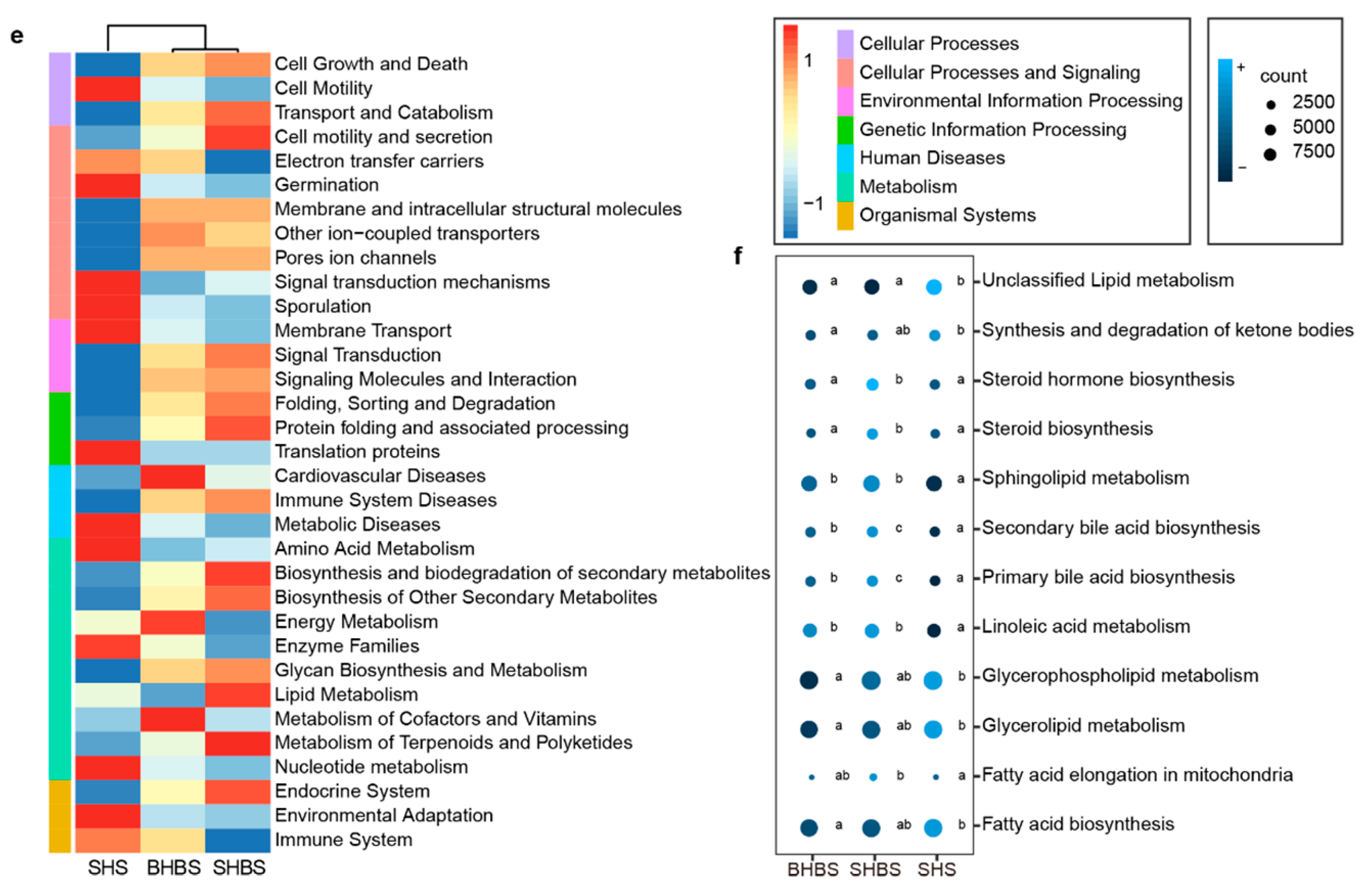 Biology 10 00769 g001b