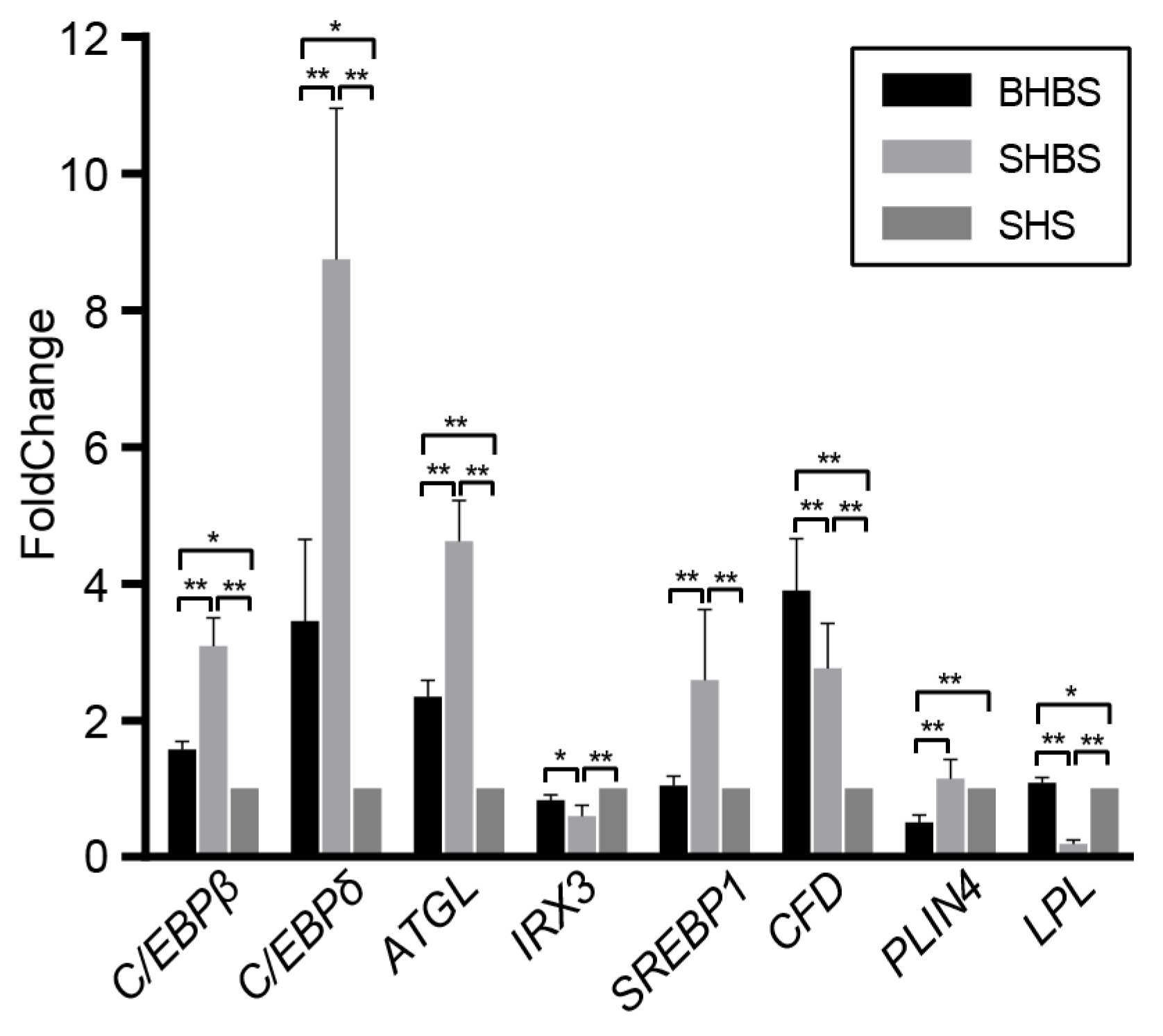 Biology 10 00769 g002