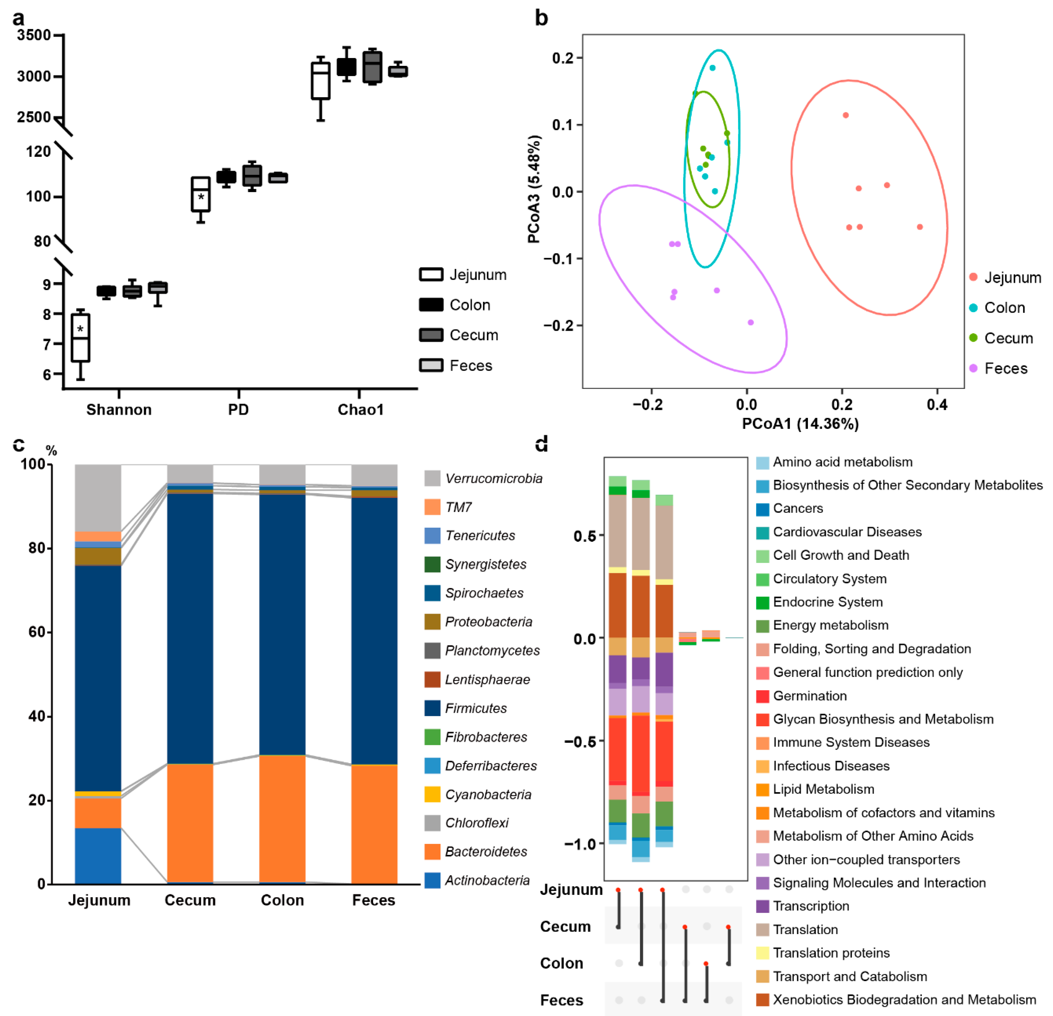 Biology 10 00769 g003