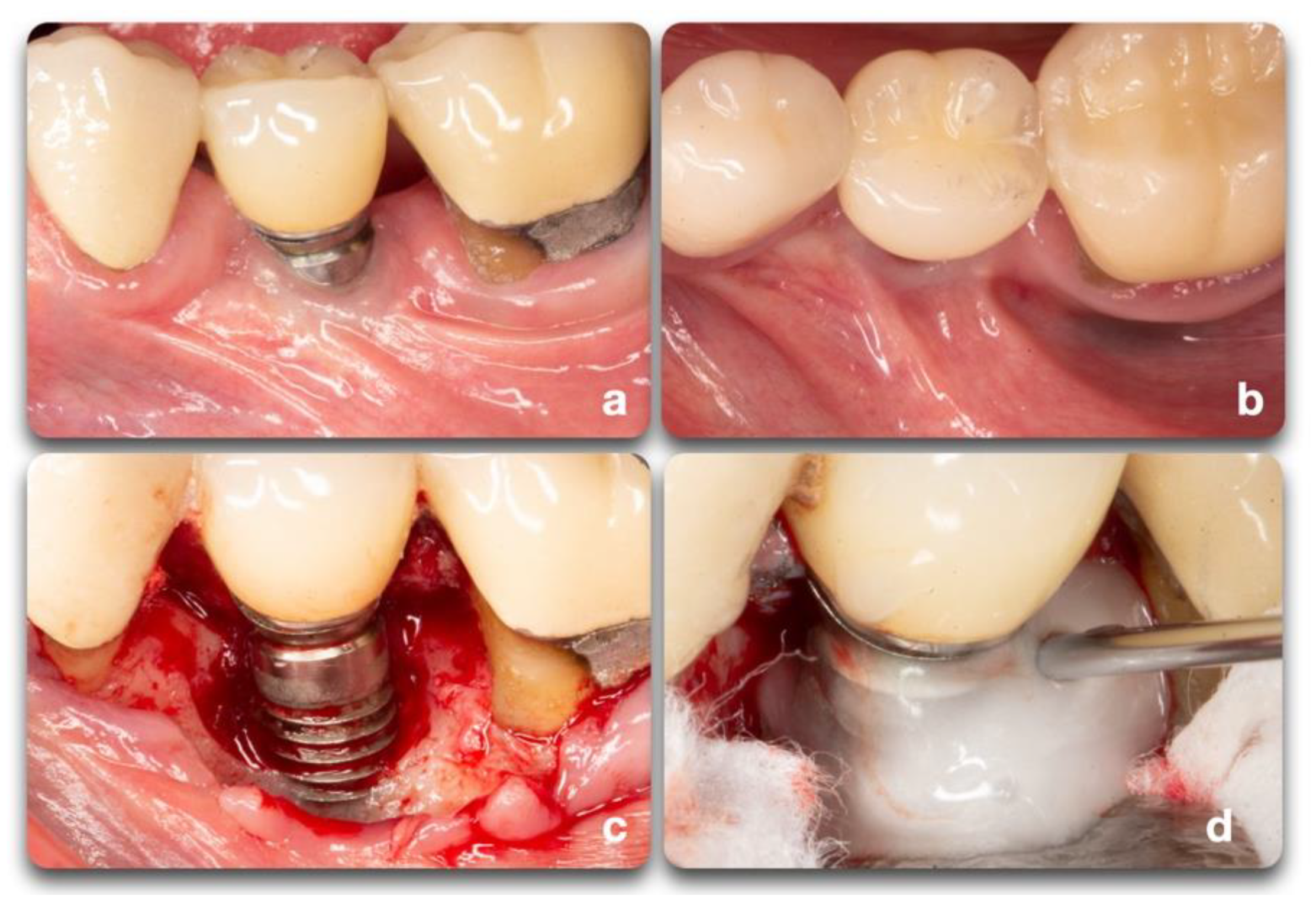 Biology 10 00773 g007