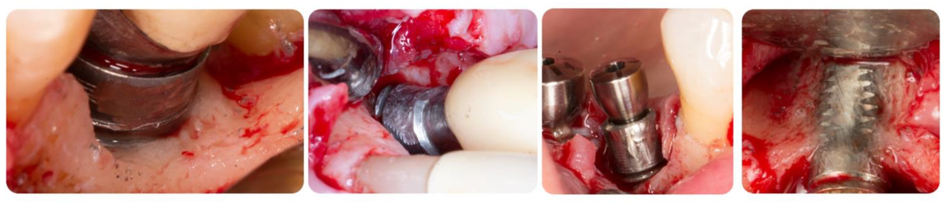 Biology 10 00773 g008