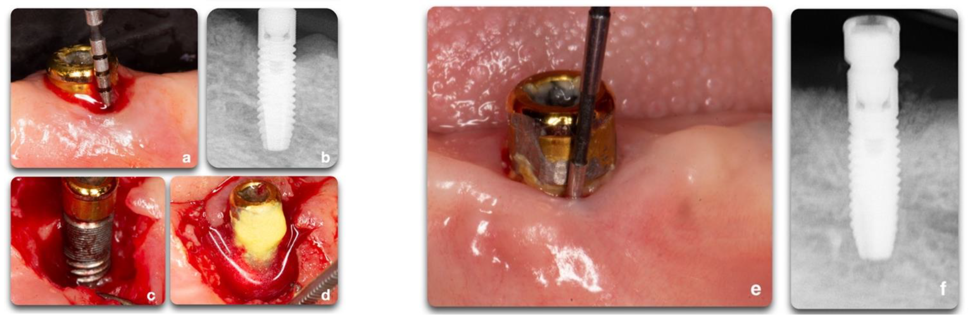 Biology 10 00773 g010