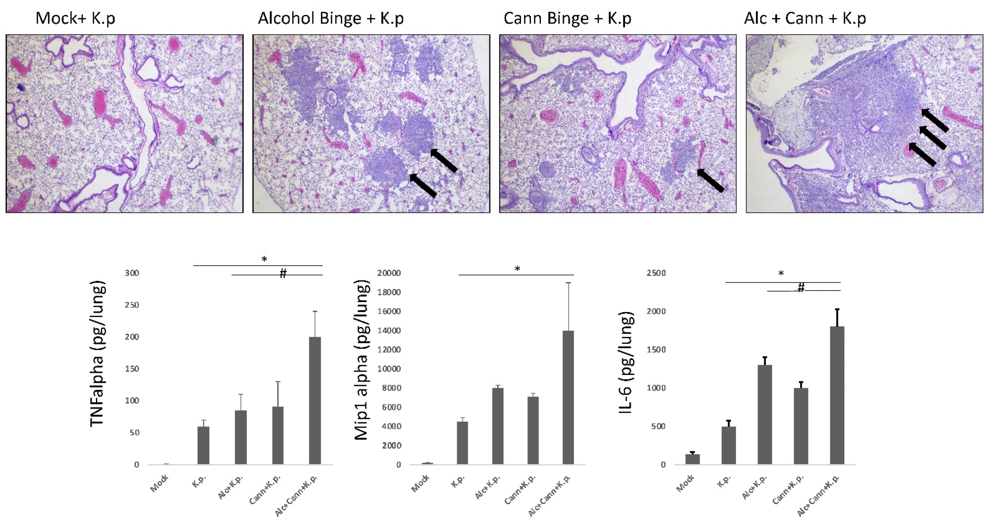 Biology 10 00779 g001
