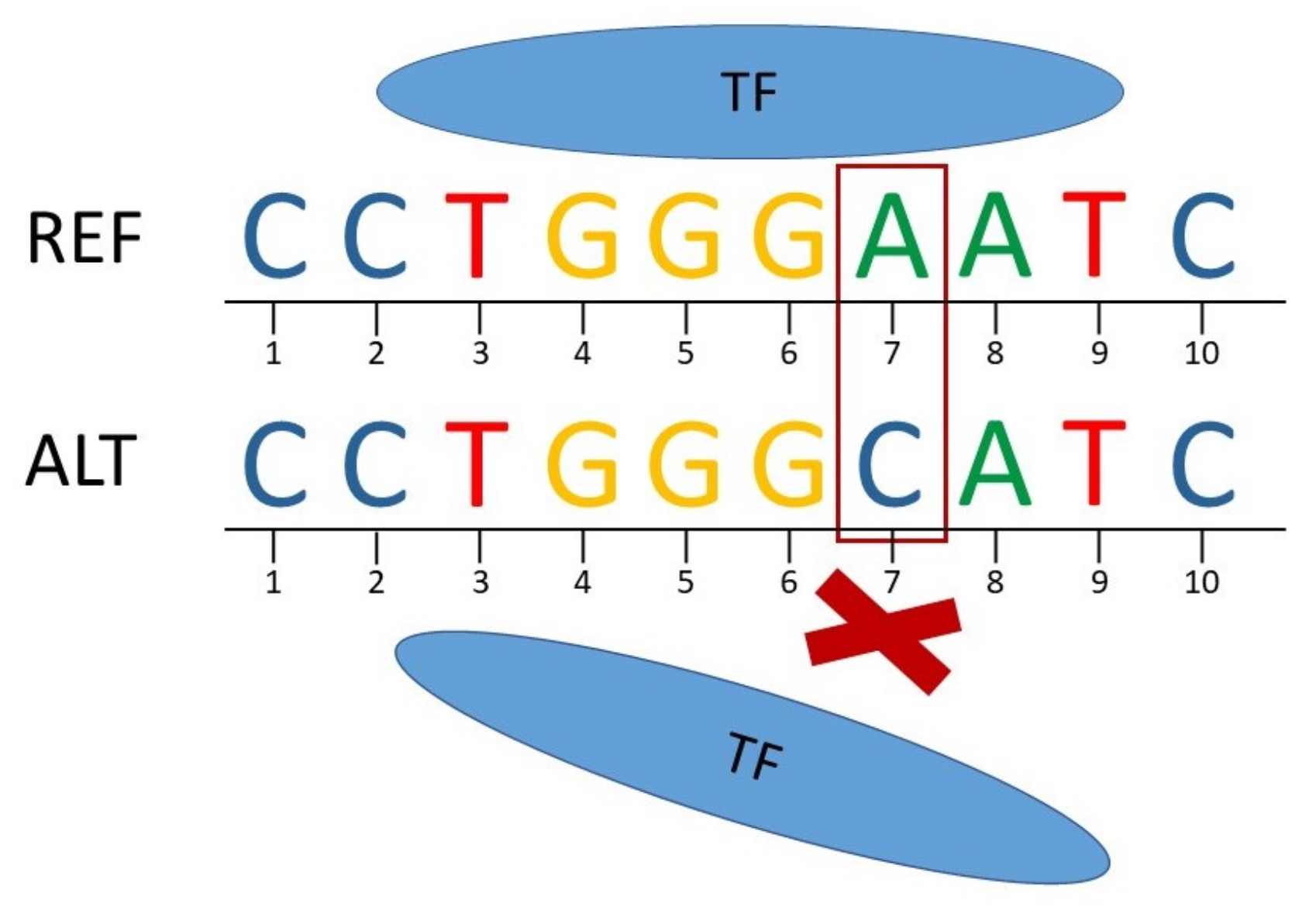 Biology 10 00790 g001