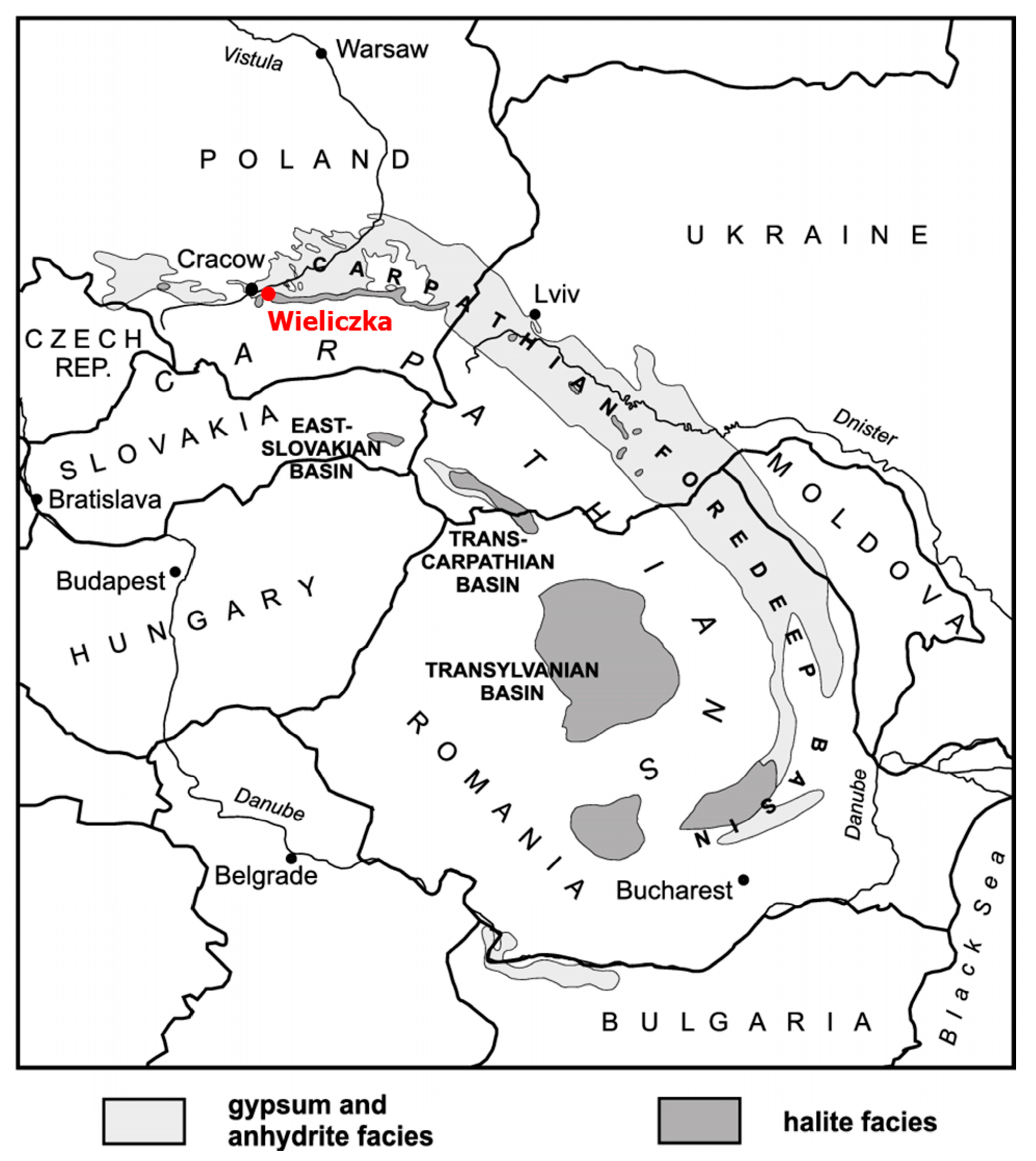 Biology 10 00792 g001