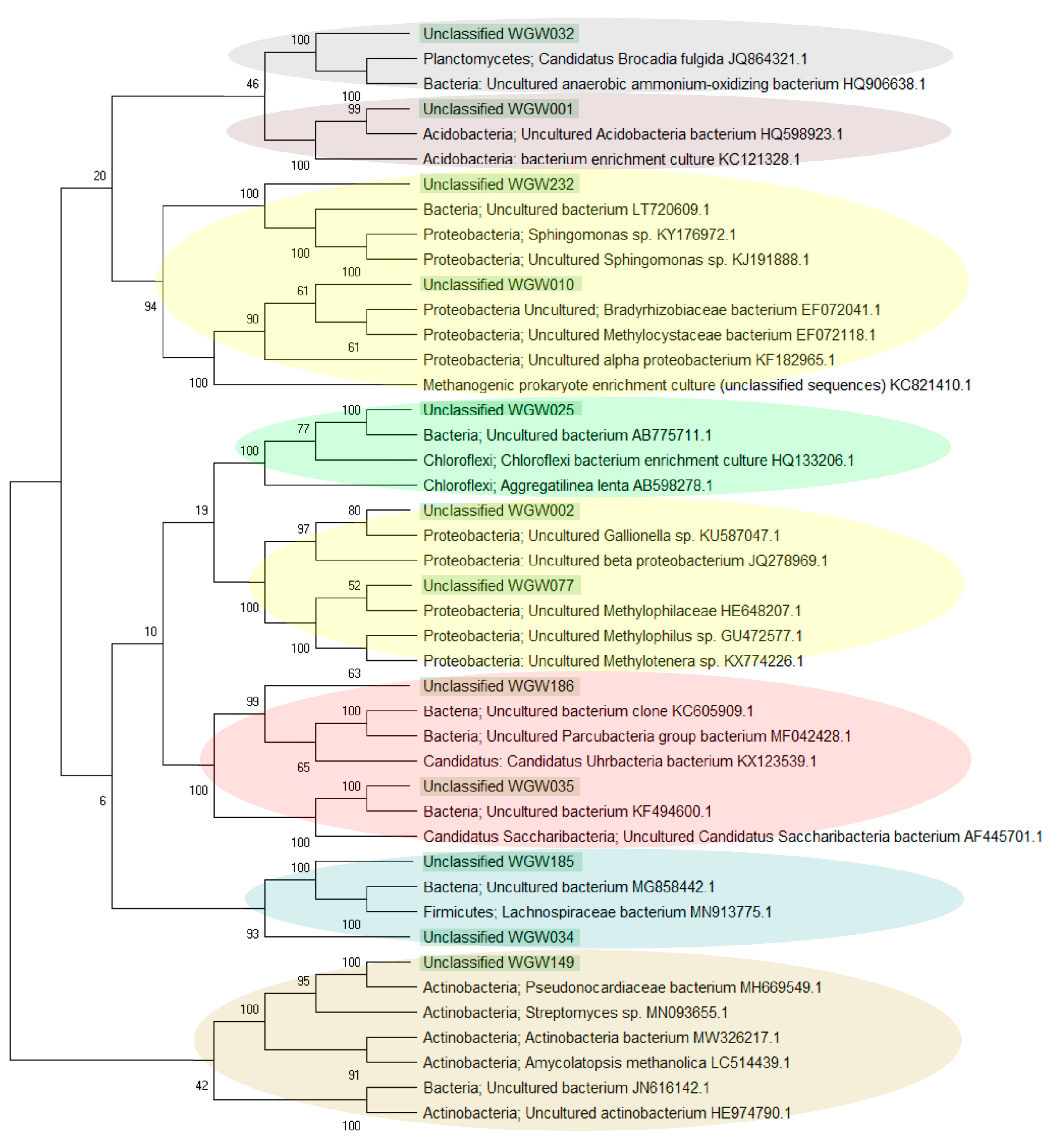 Biology 10 00792 g004