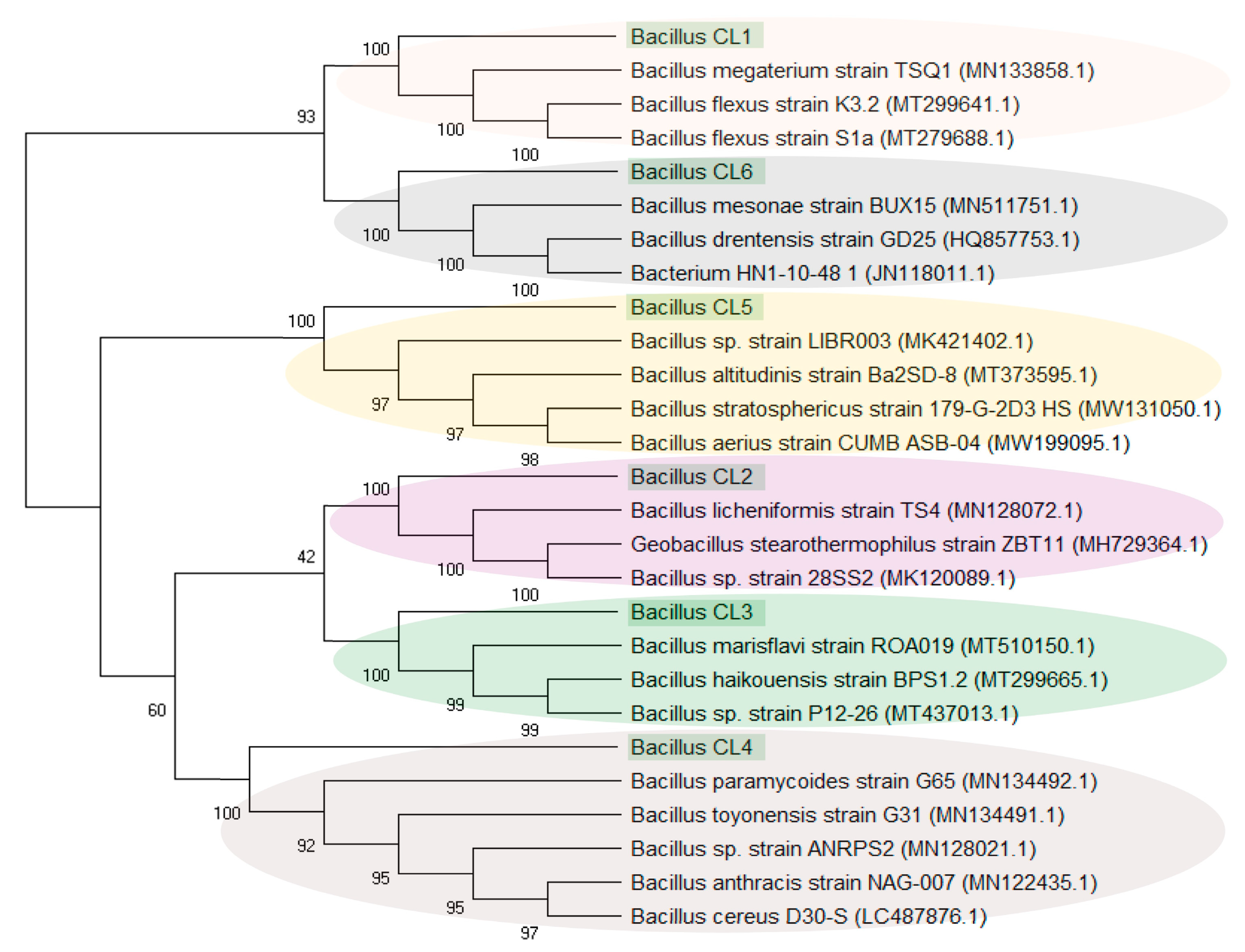 Biology 10 00792 g006