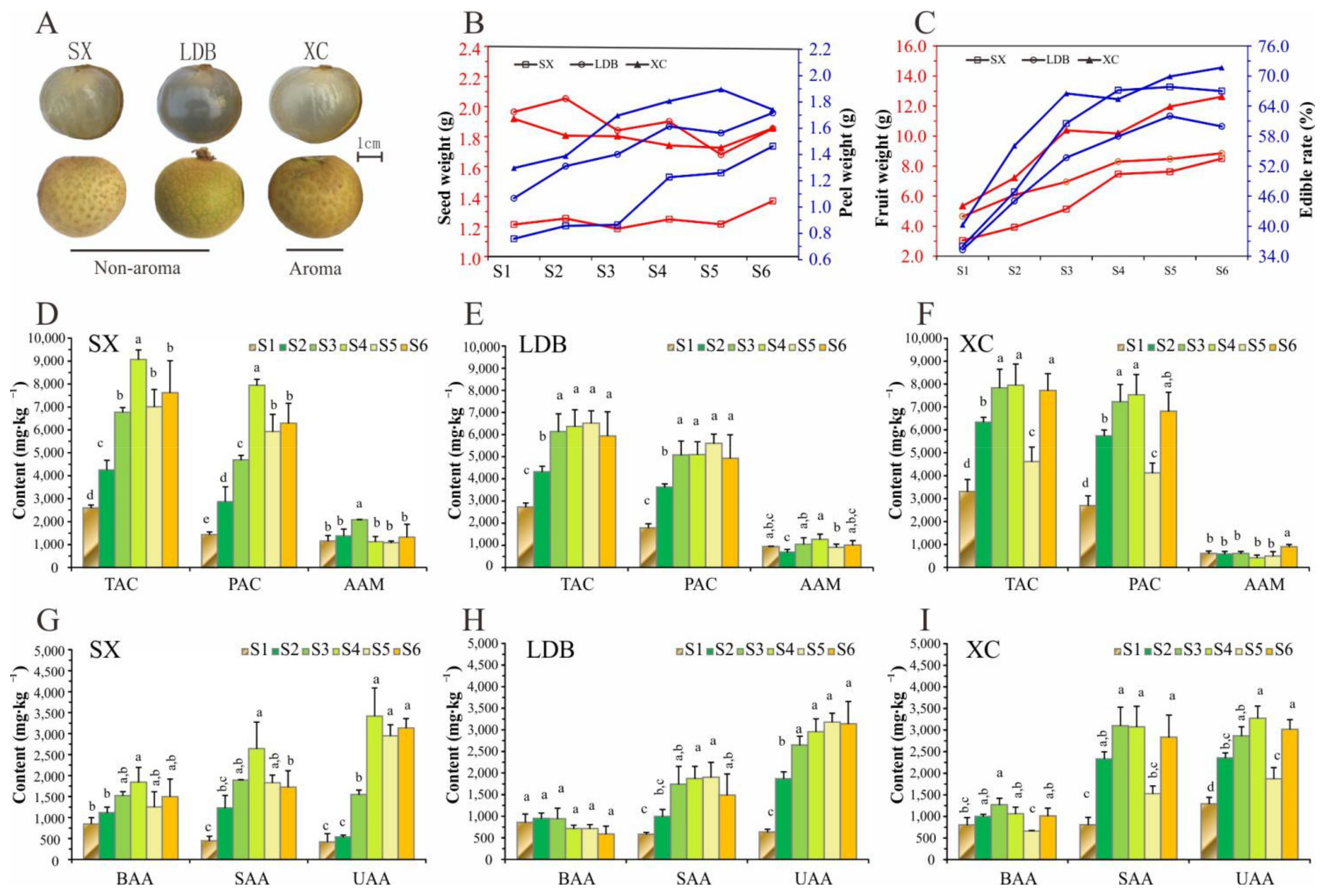 Biology 10 00807 g001