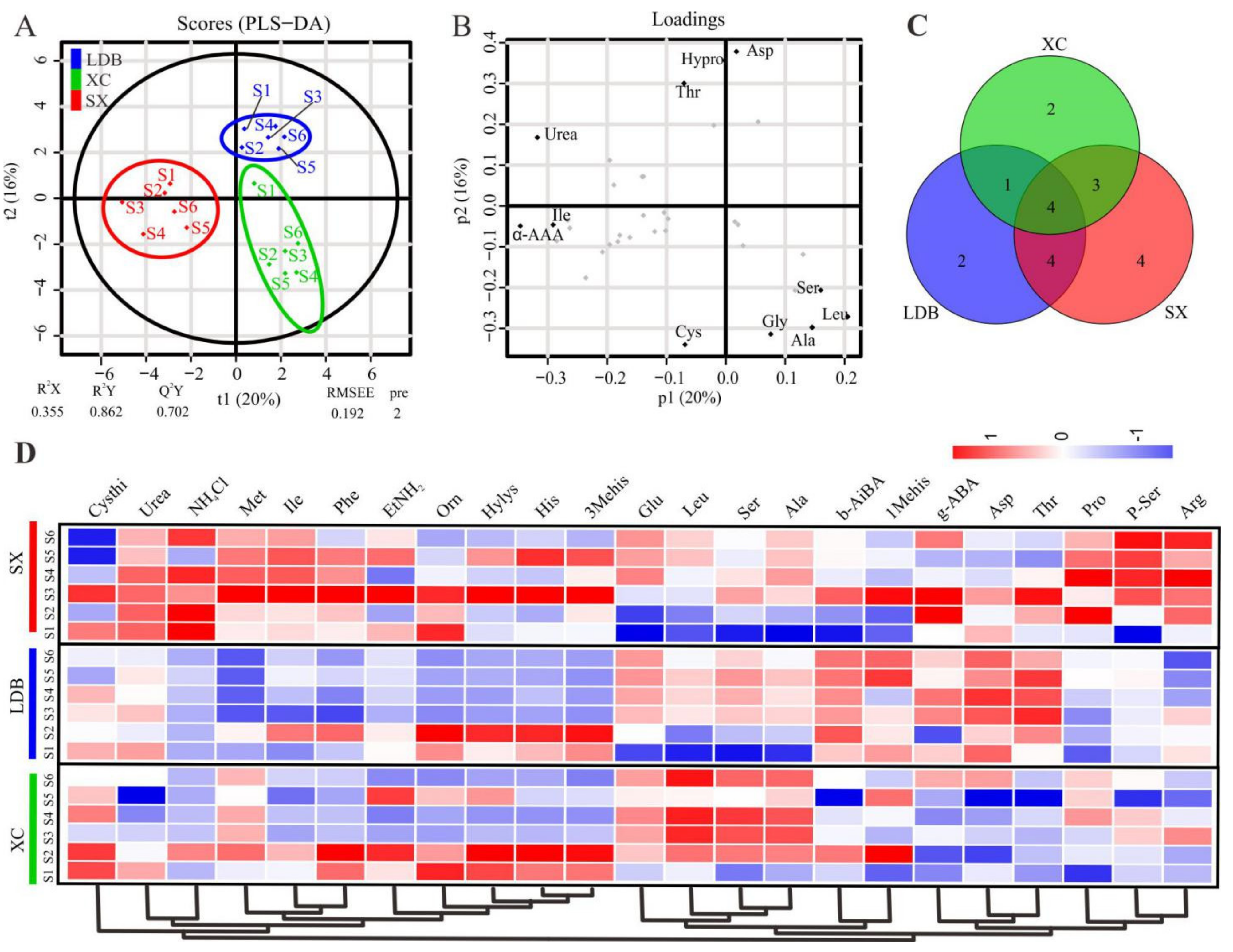 Biology 10 00807 g002