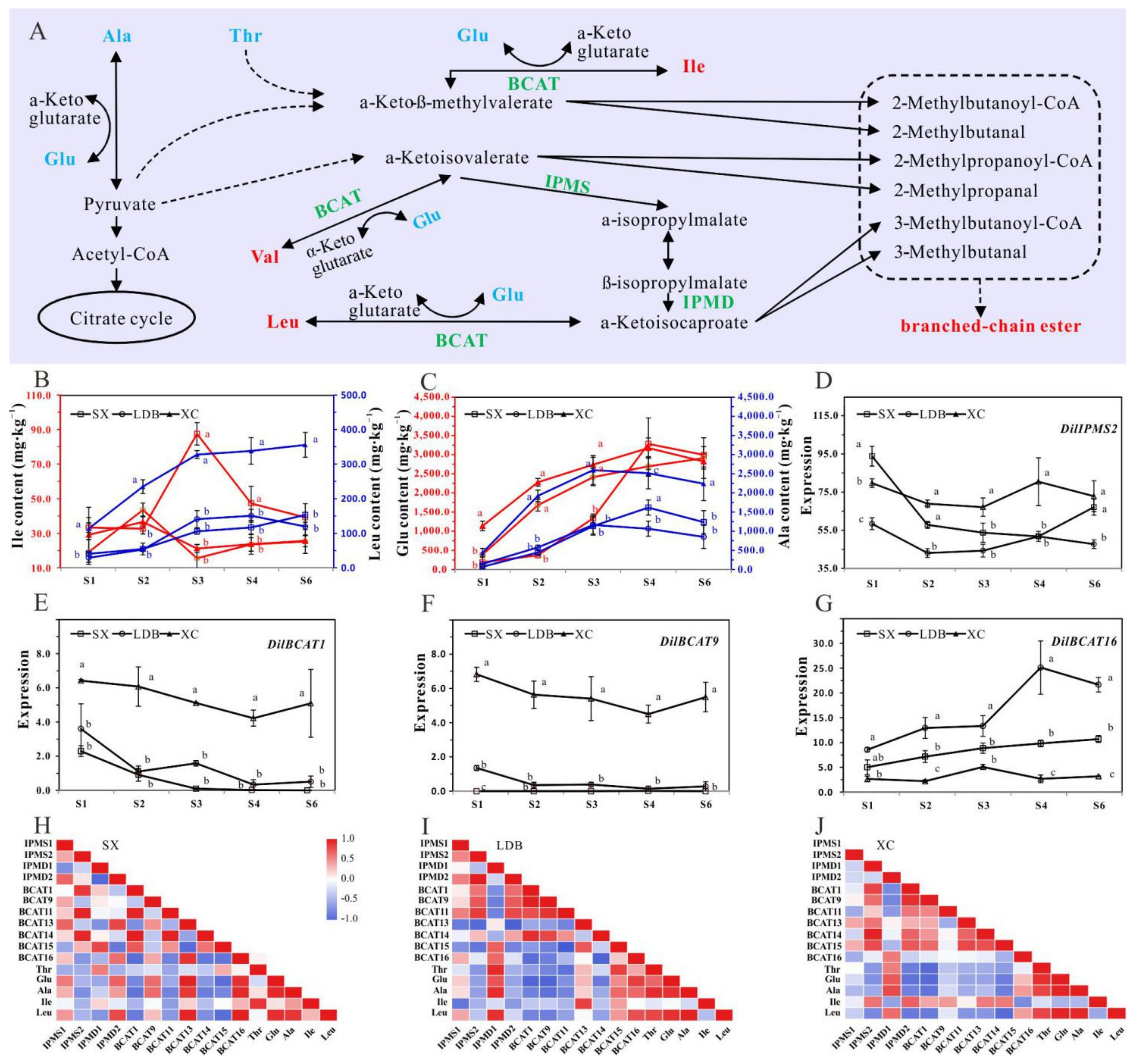 Biology 10 00807 g003