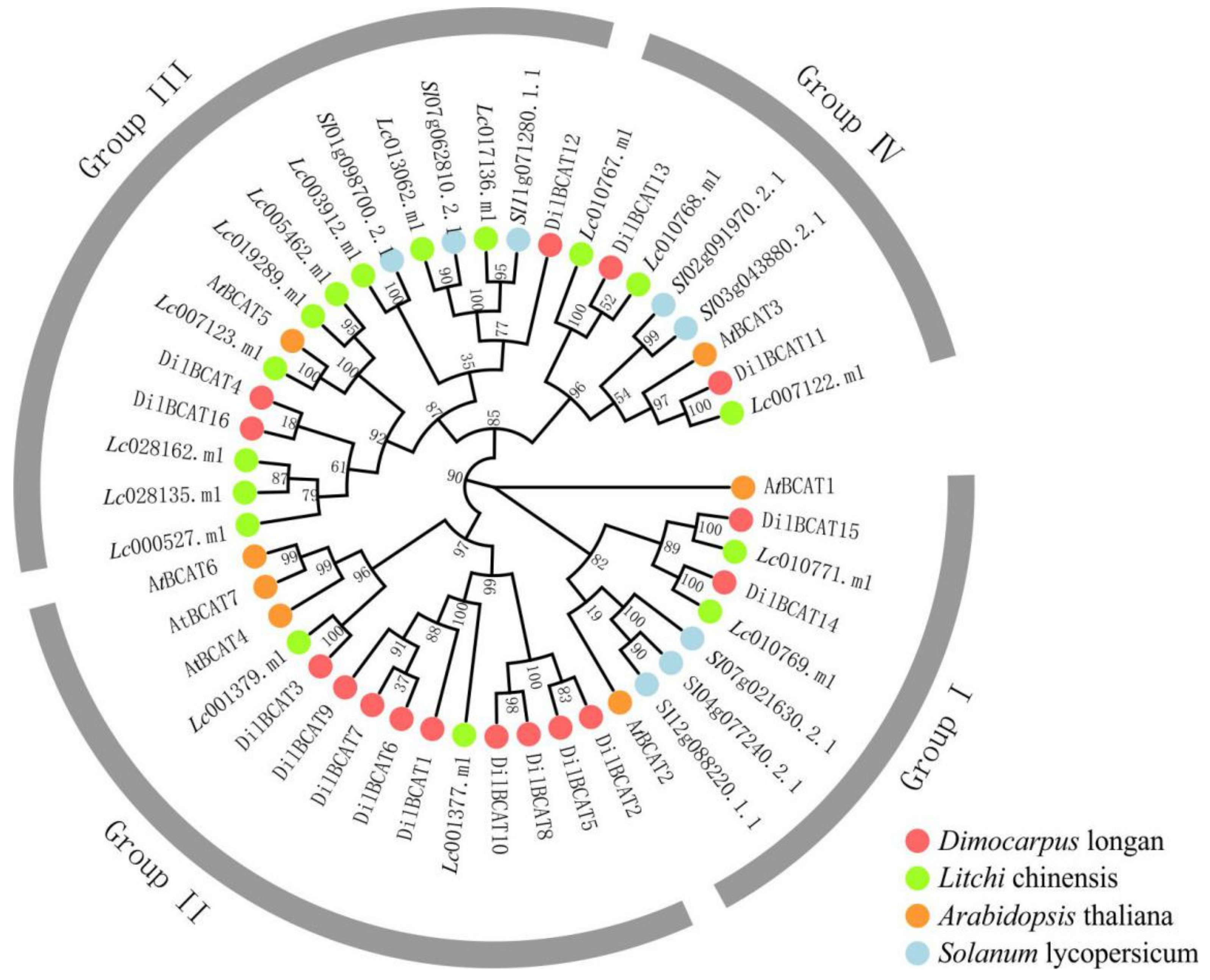 Biology 10 00807 g004