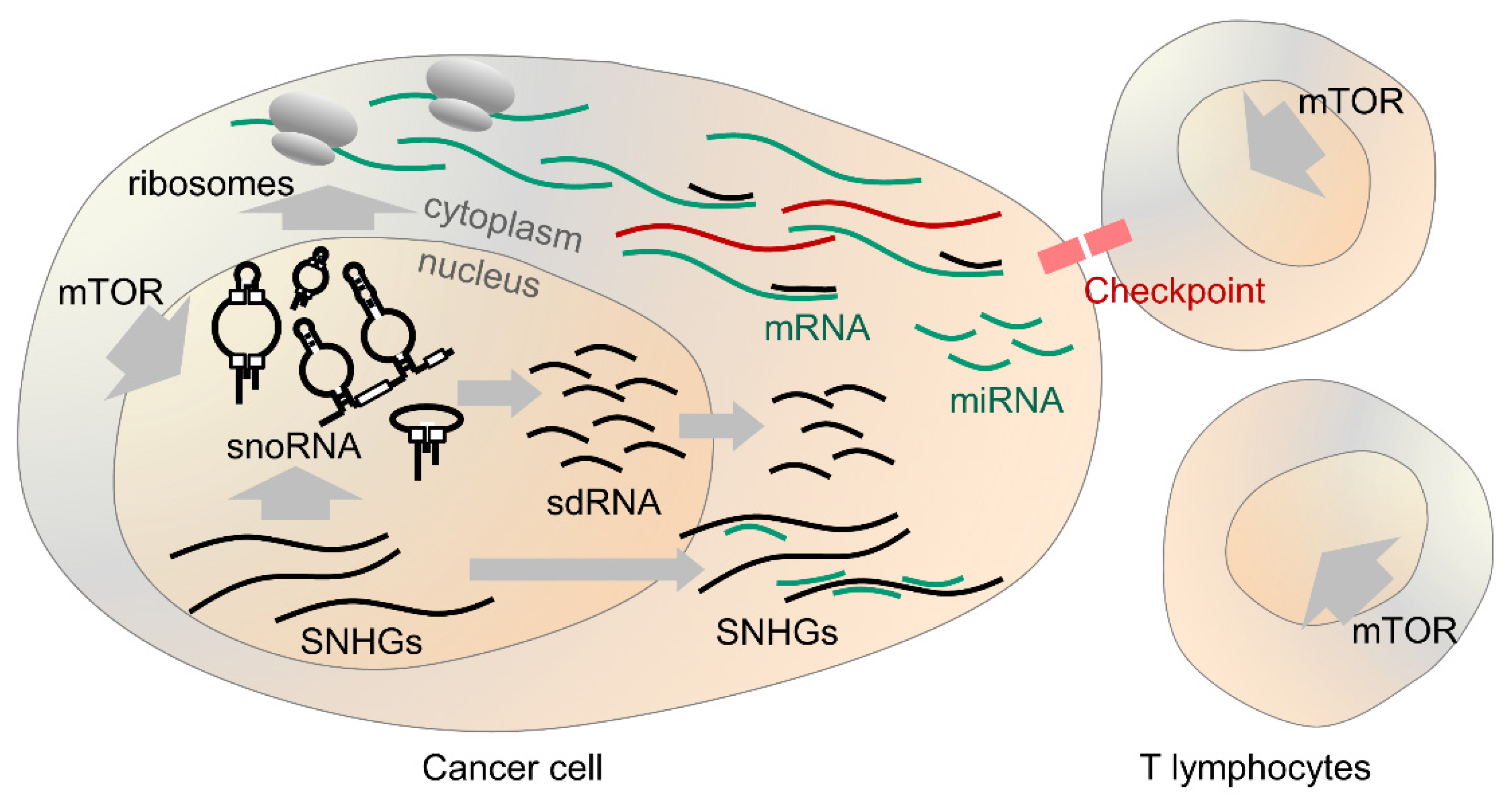 Biology 10 00809 g002