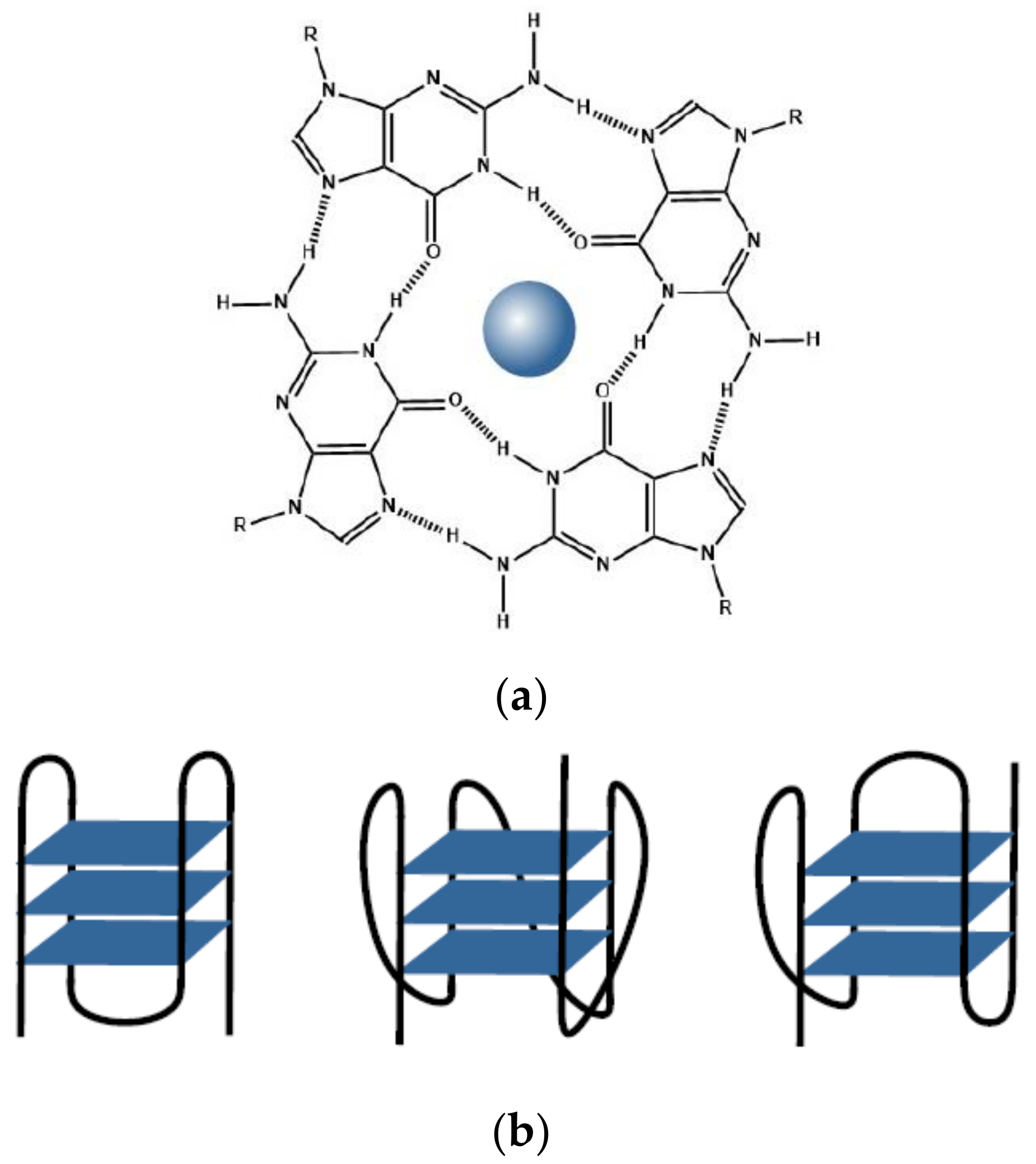 Biology 10 00813 g001