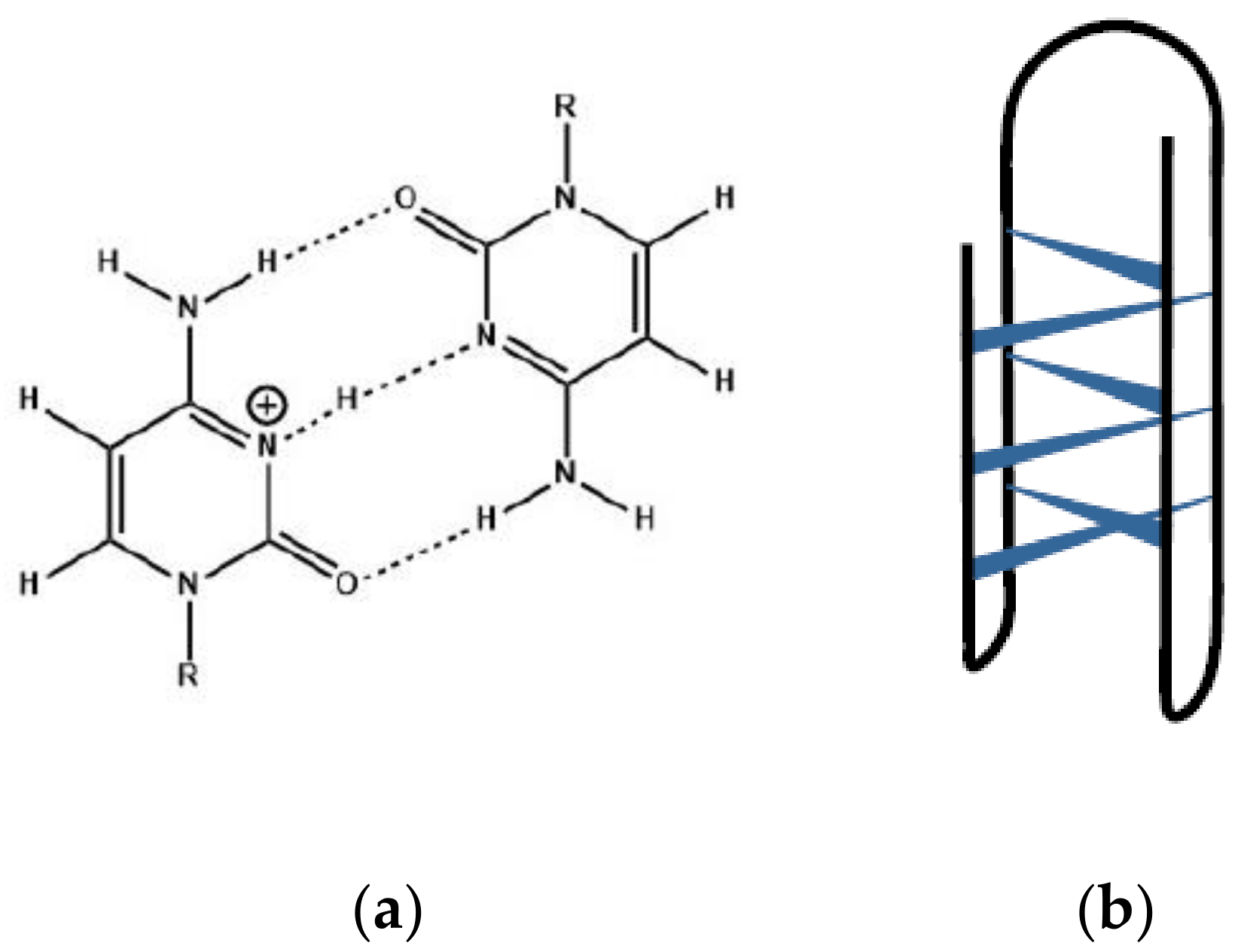 Biology 10 00813 g002