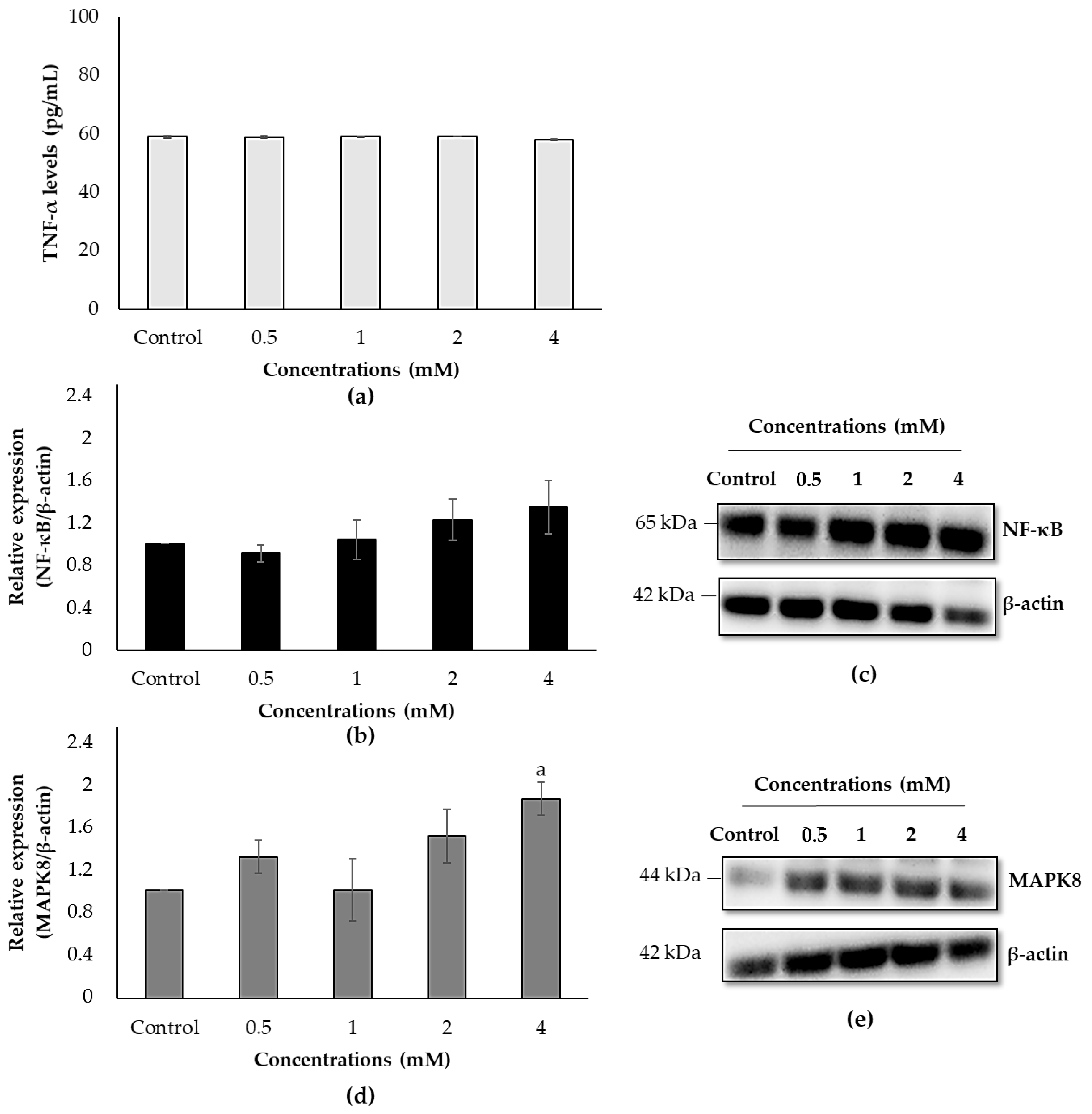 Biology 10 00820 g007