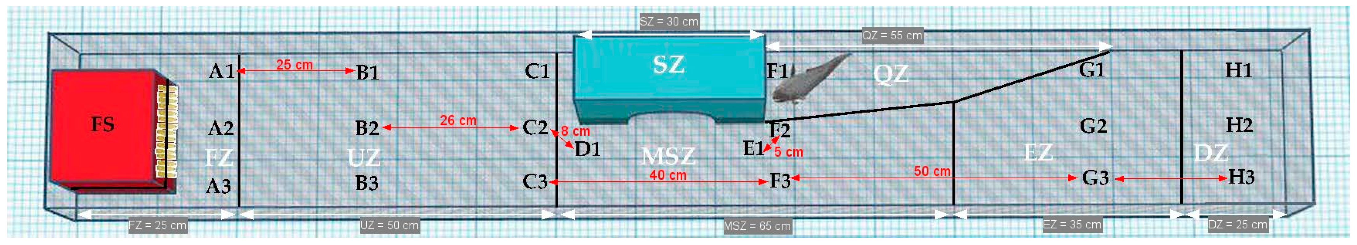 Biology 10 00821 g001