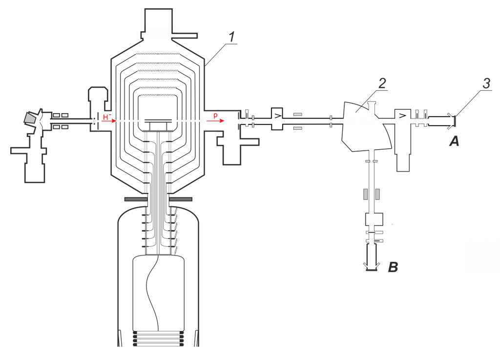 Biology 10 00824 g001