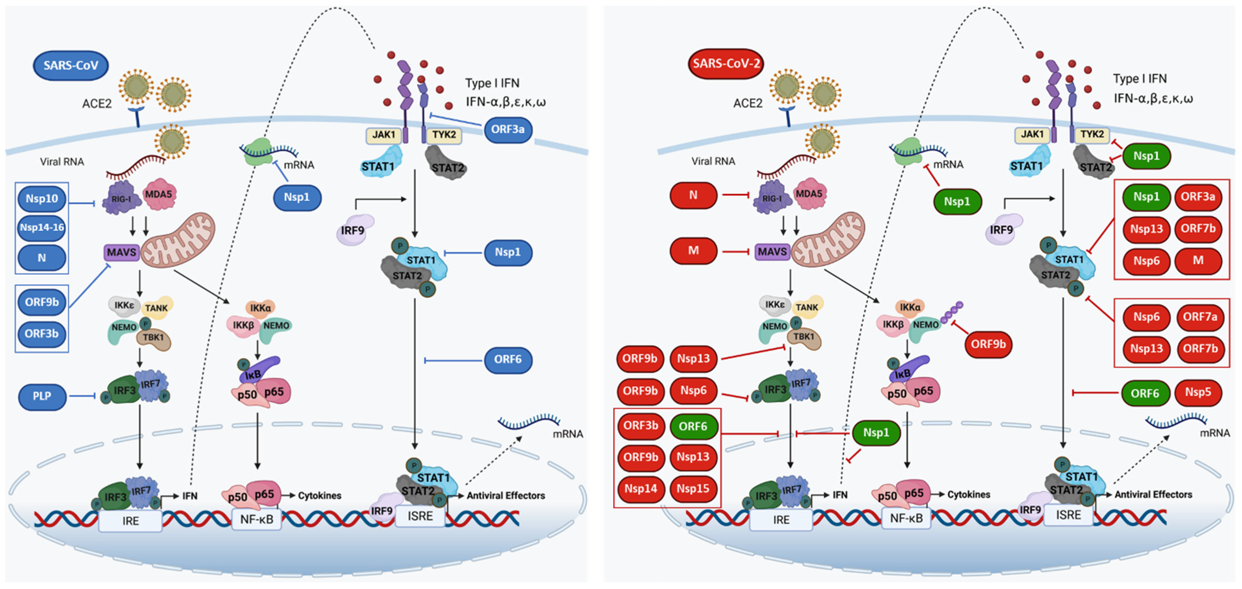 Biology 10 00829 g002