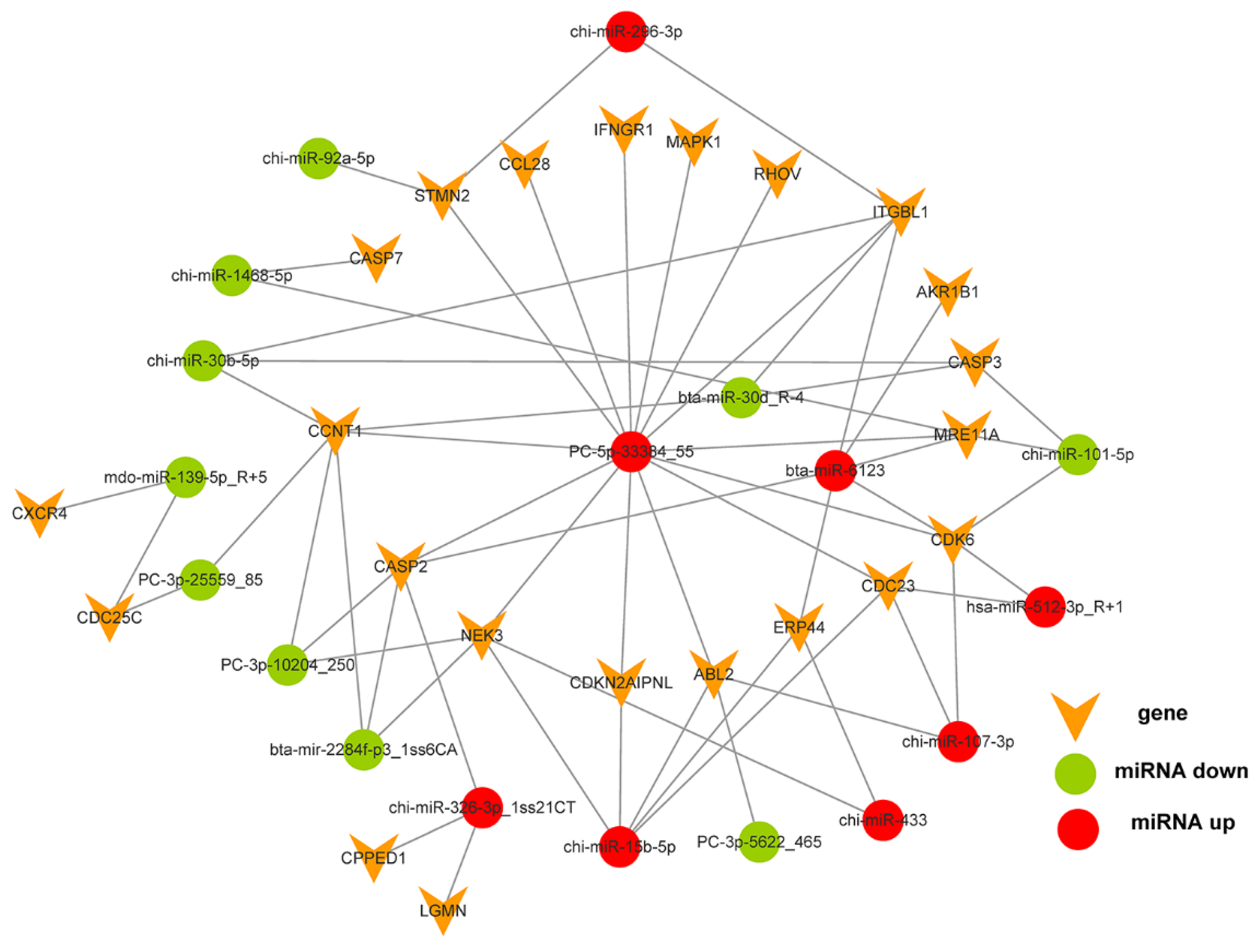 Biology 10 00832 g005