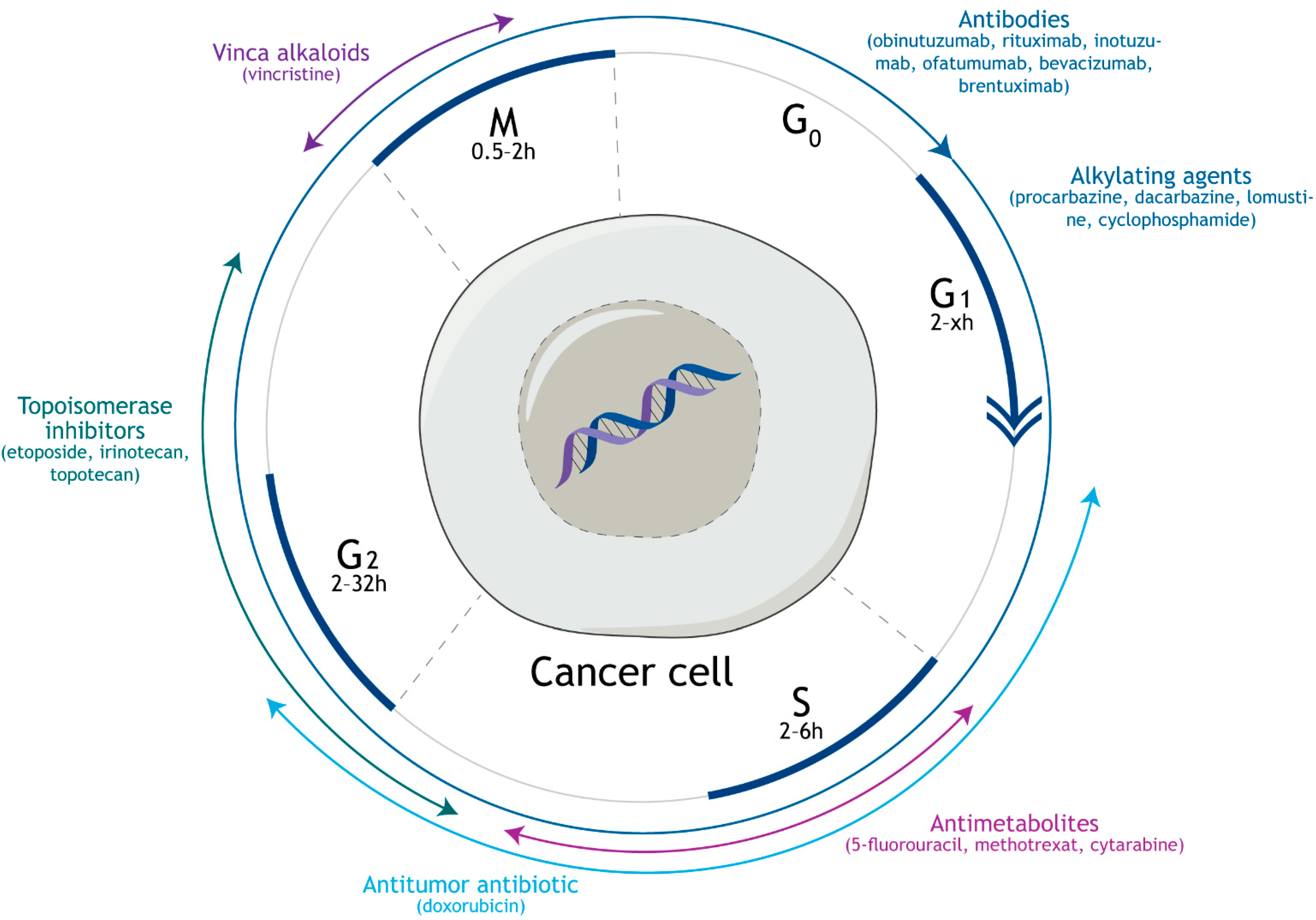 Biology 10 00849 g004 Biology 10 00849 g004