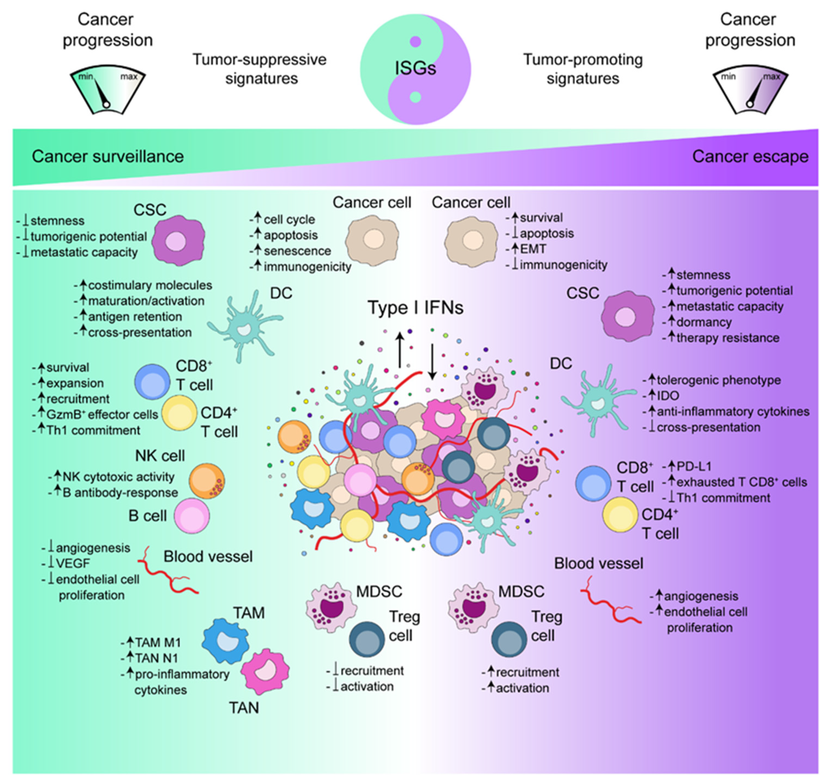 Biology 10 00856 g001 Biology 10 00856 g001