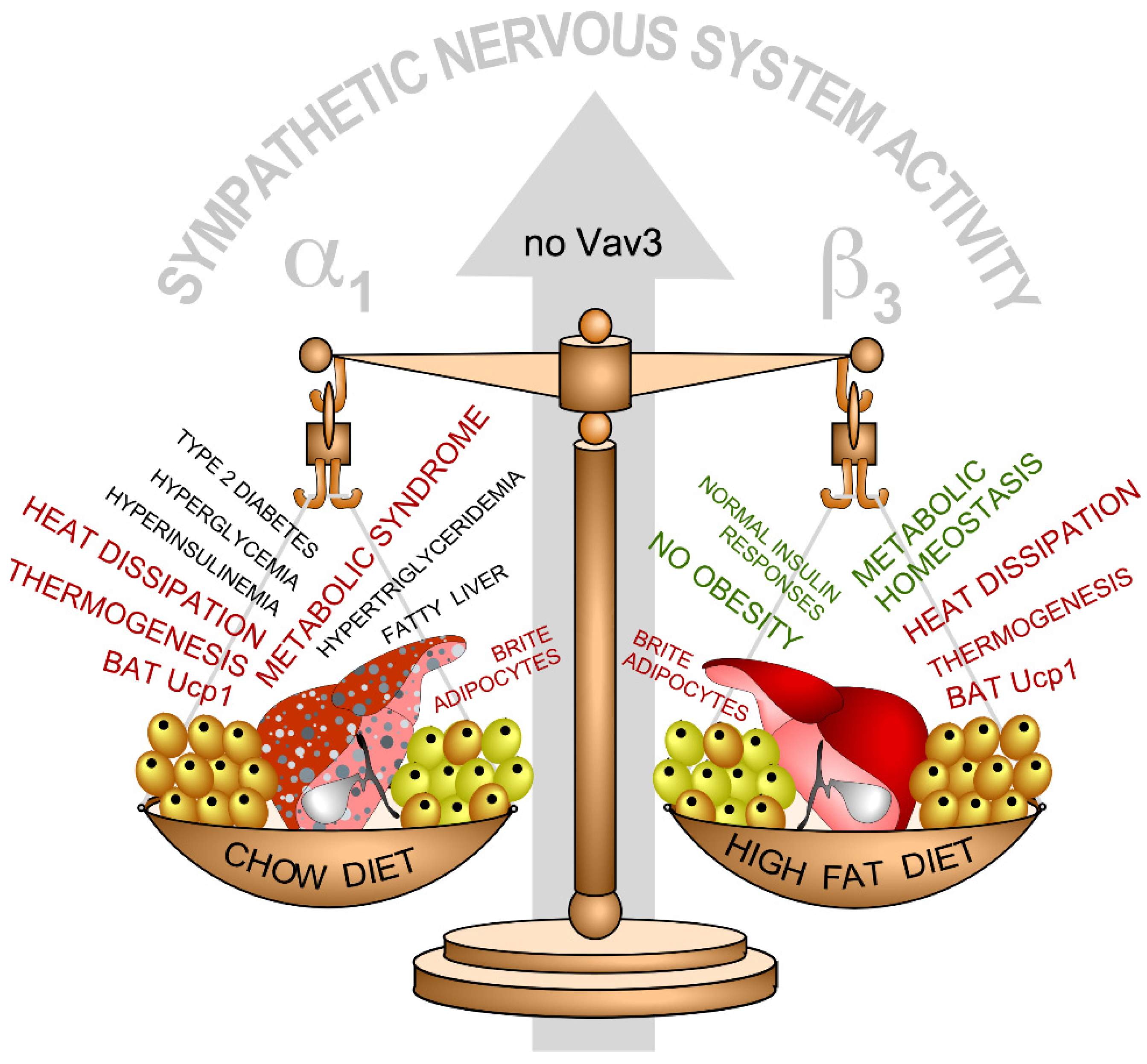 Biology 10 00857 g004 Biology 10 00857 g004