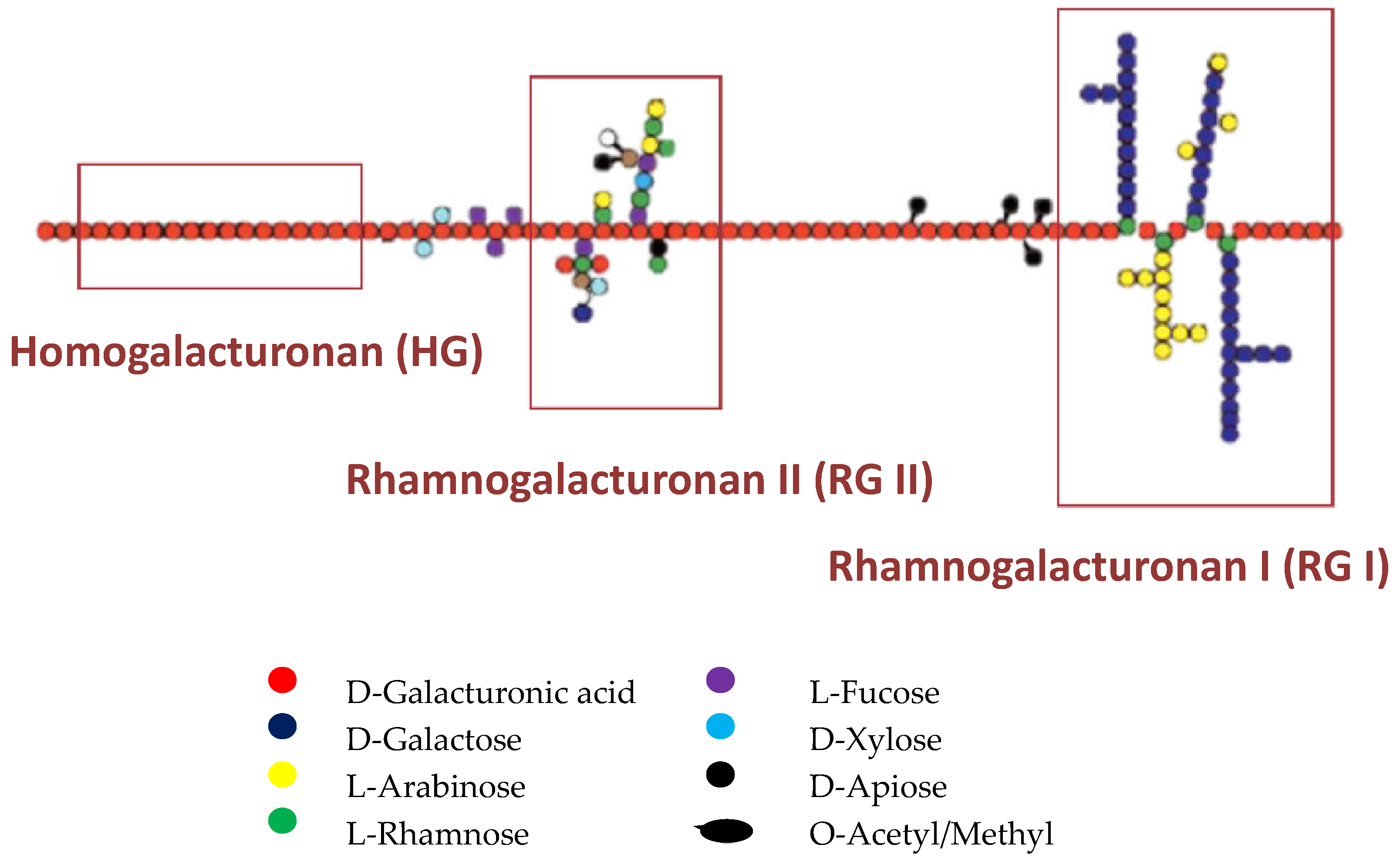 Biology 10 00860 g001