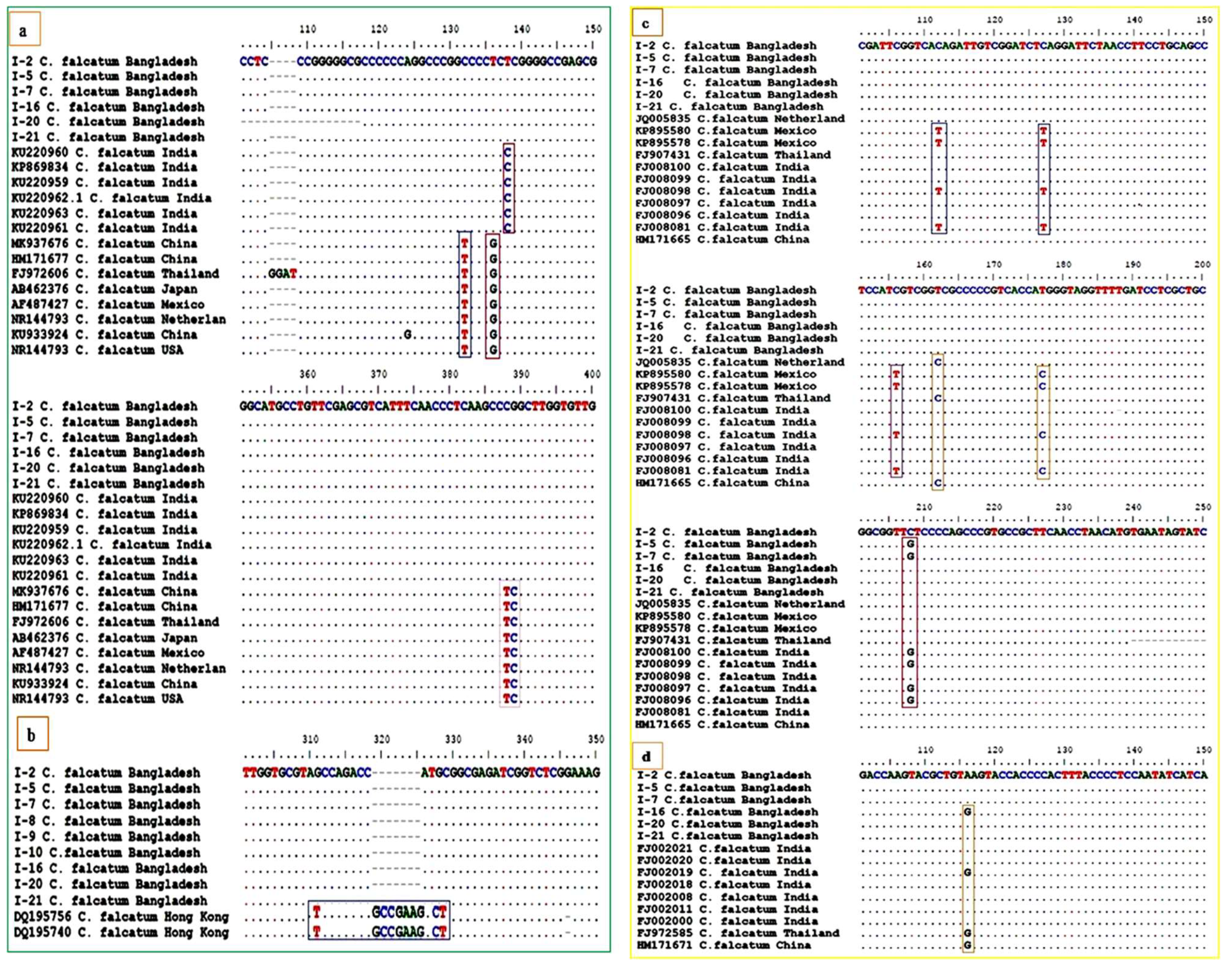 Biology 10 00862 g005