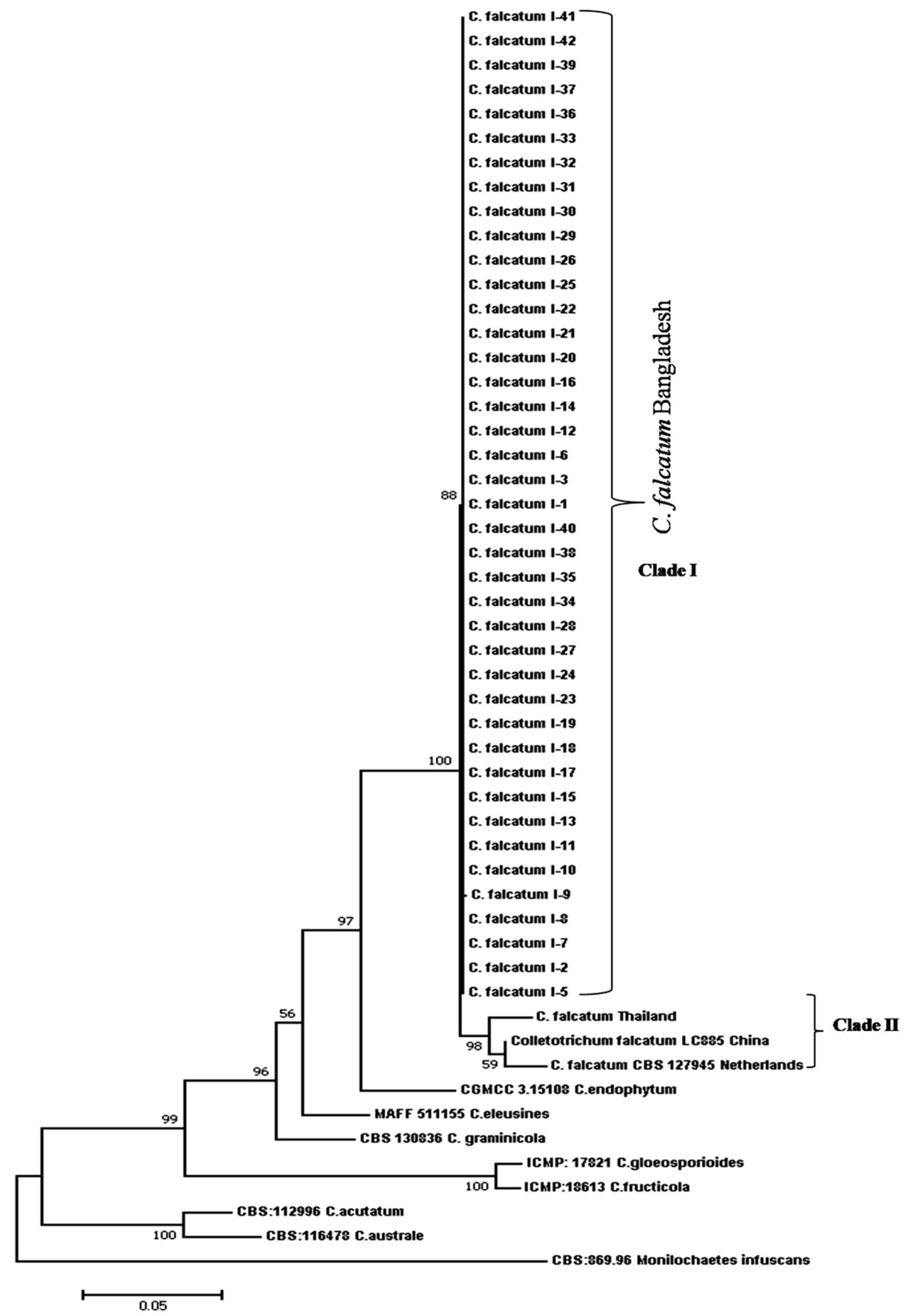 Biology 10 00862 g006