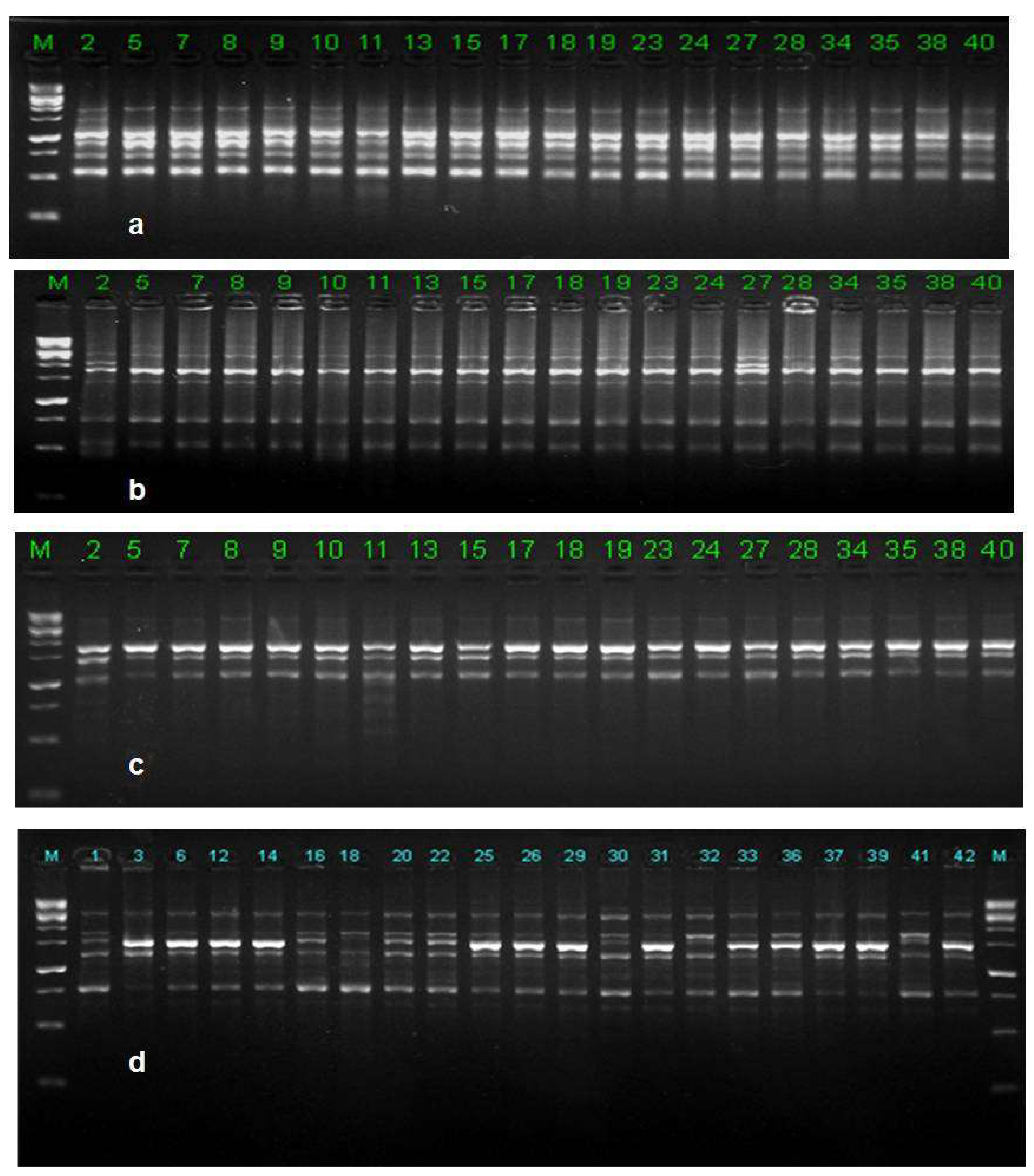 Biology 10 00862 g007