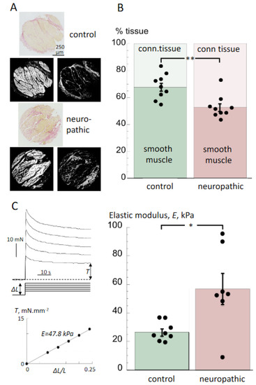 Biology 10 00863 g002