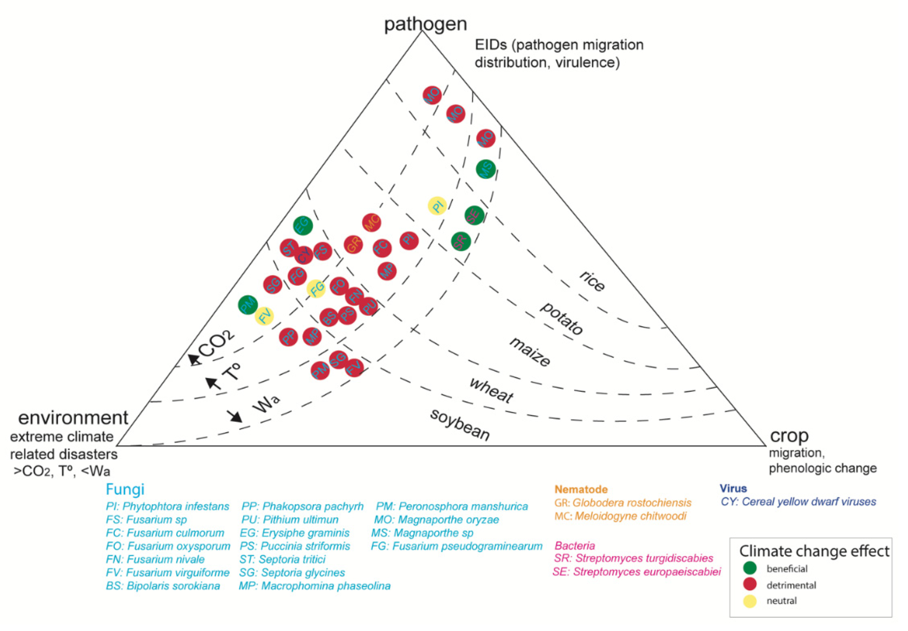 Biology 10 00865 g002