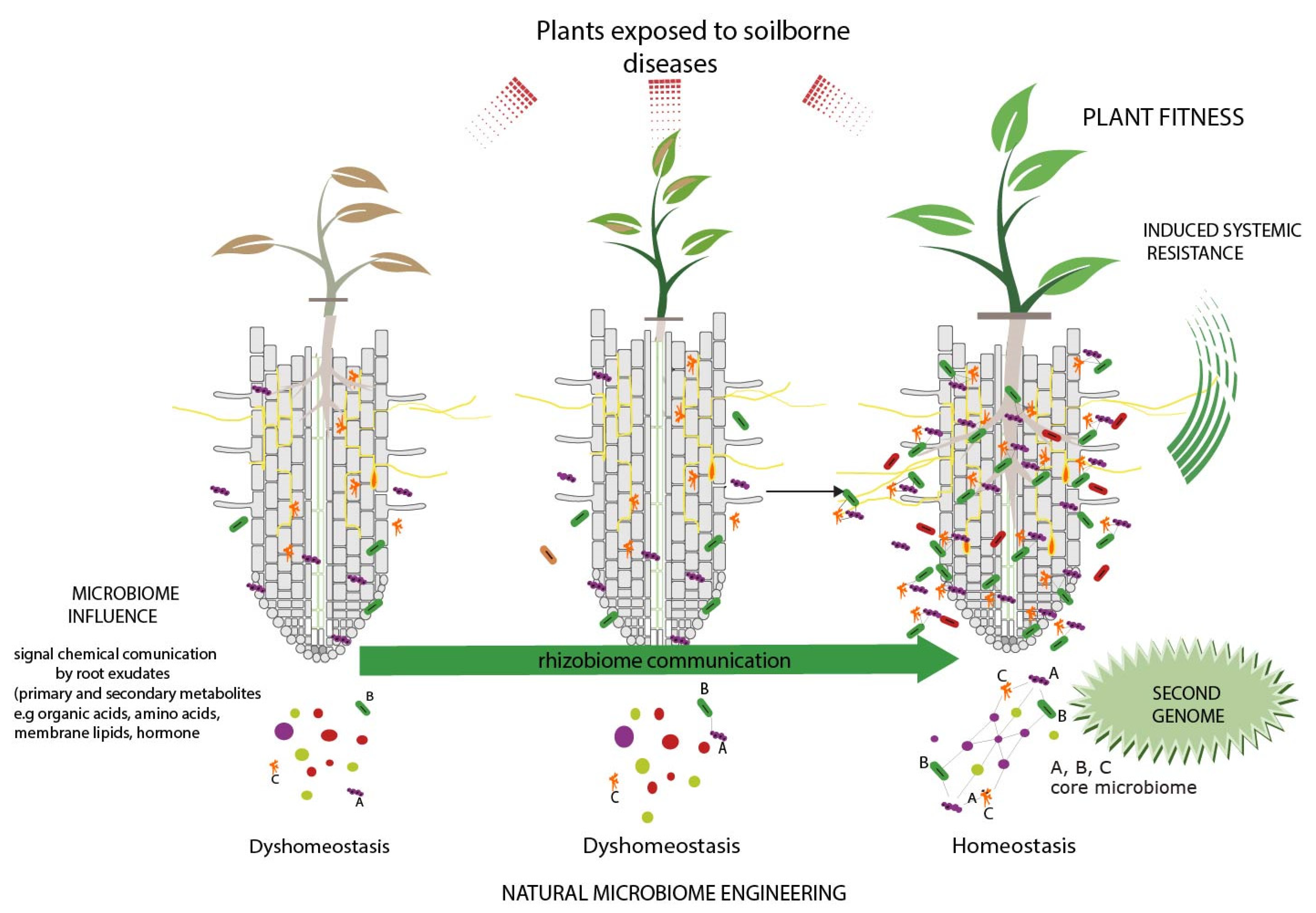 Biology 10 00865 g003