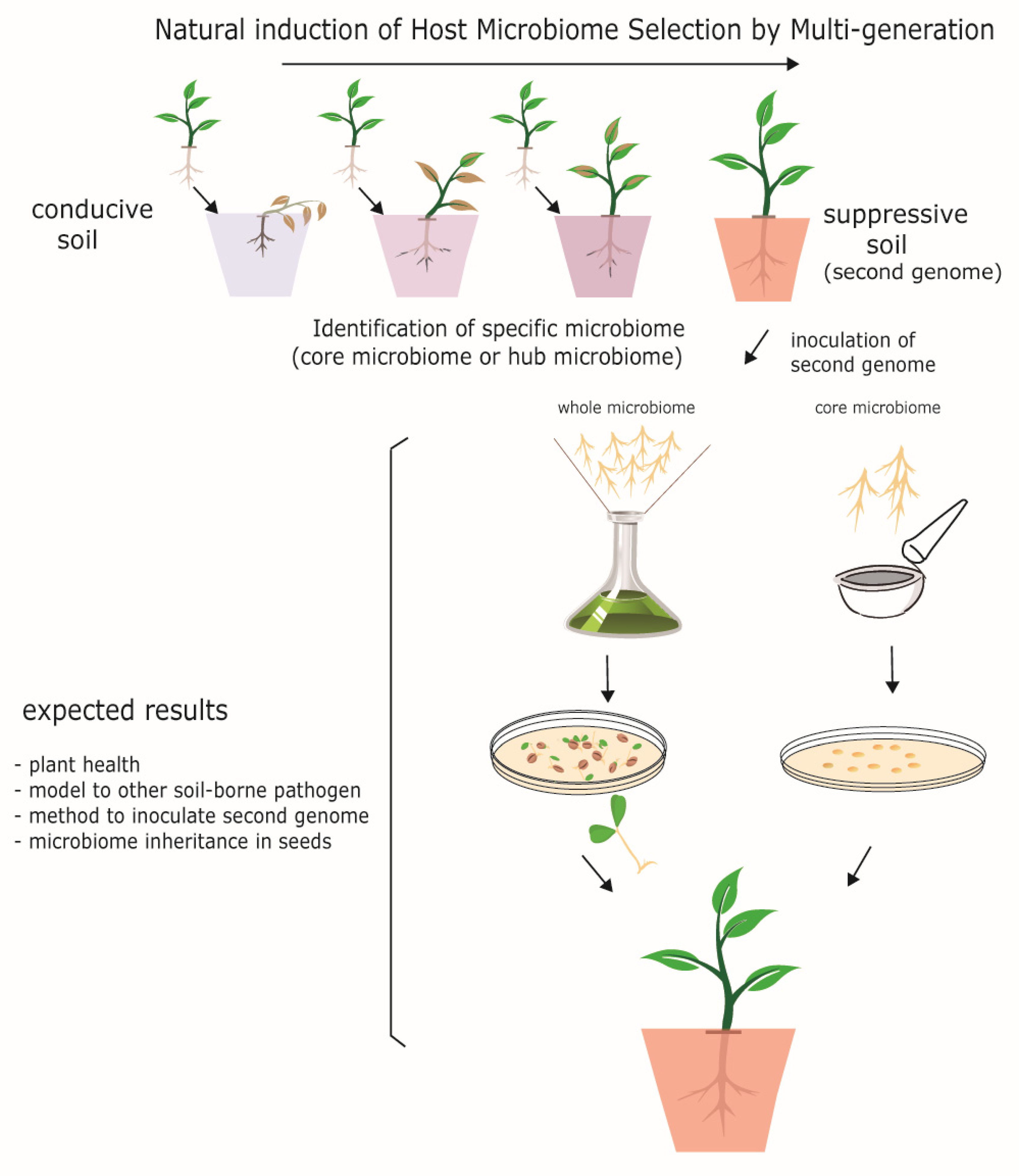 Biology 10 00865 g004