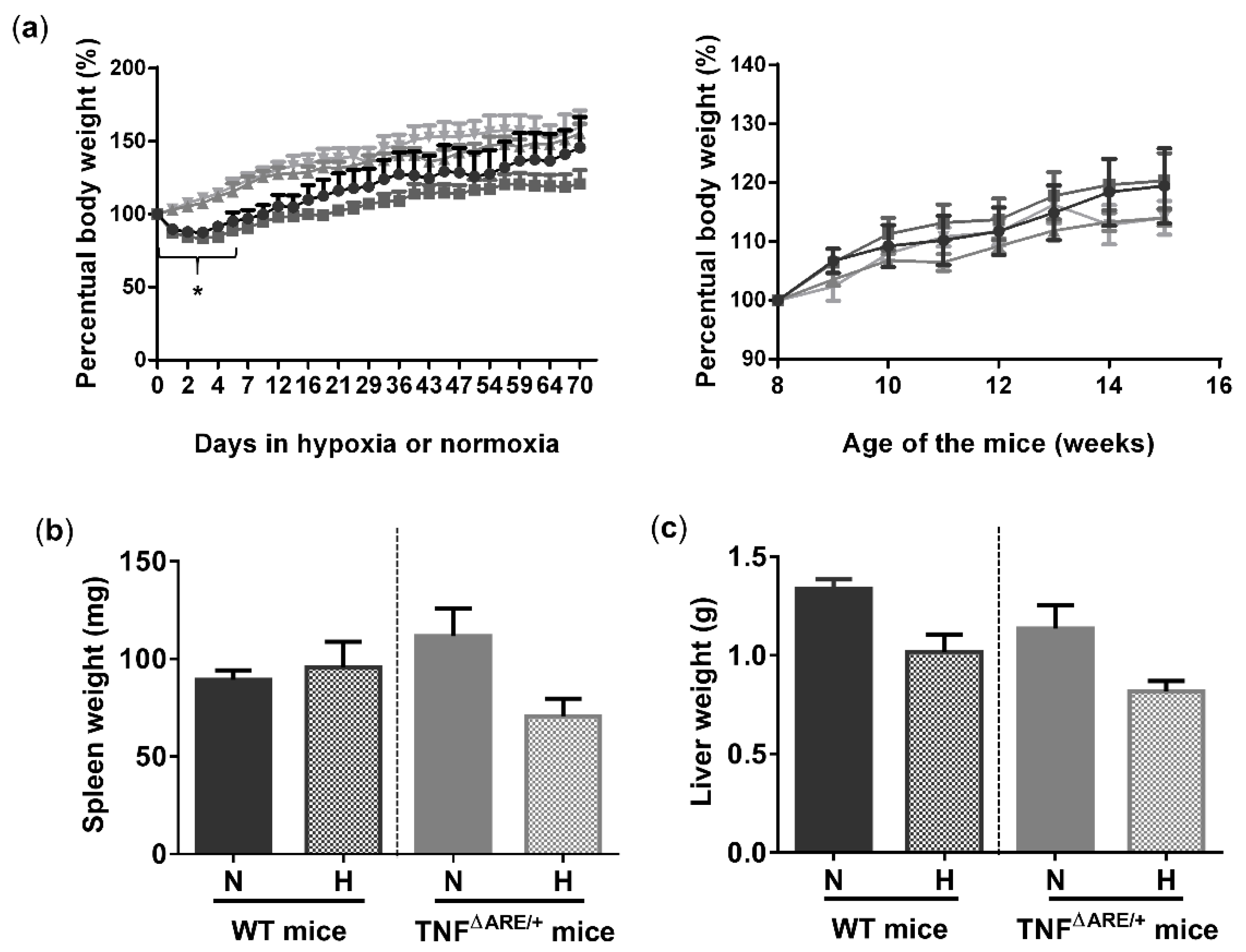 Biology 10 00887 g001