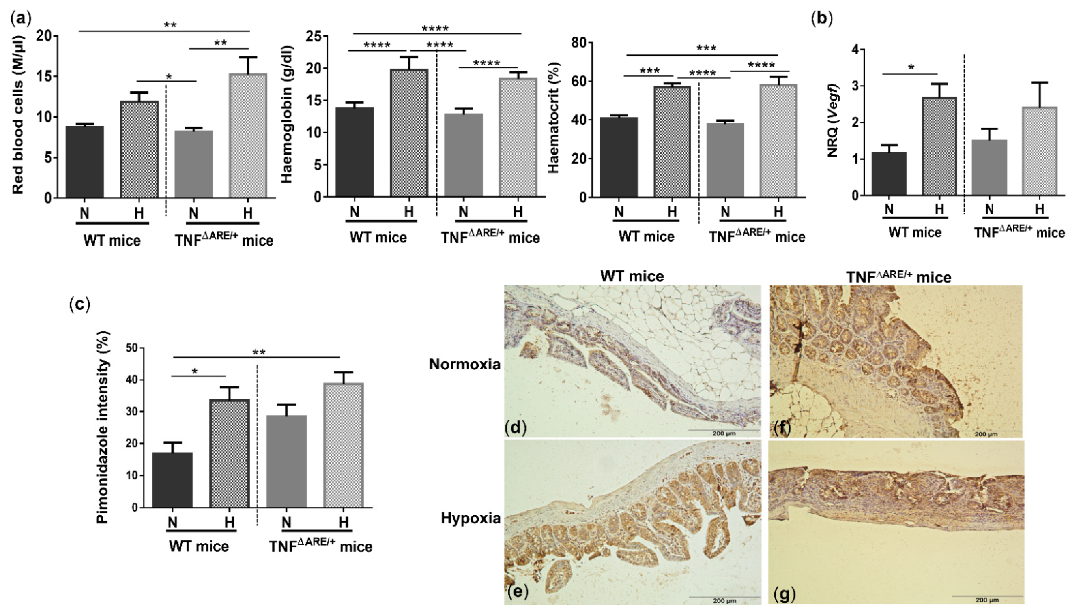 Biology 10 00887 g002