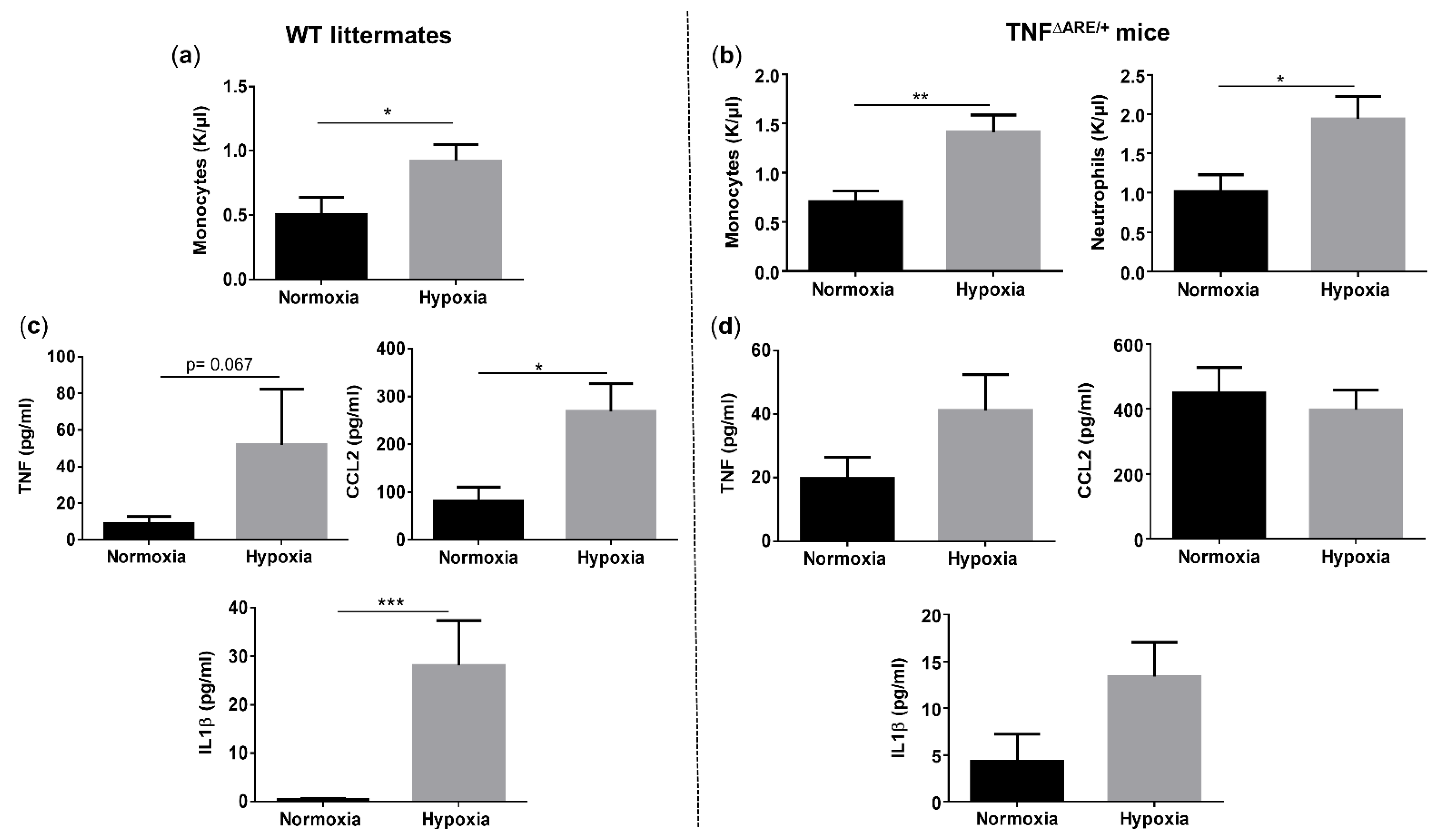 Biology 10 00887 g003