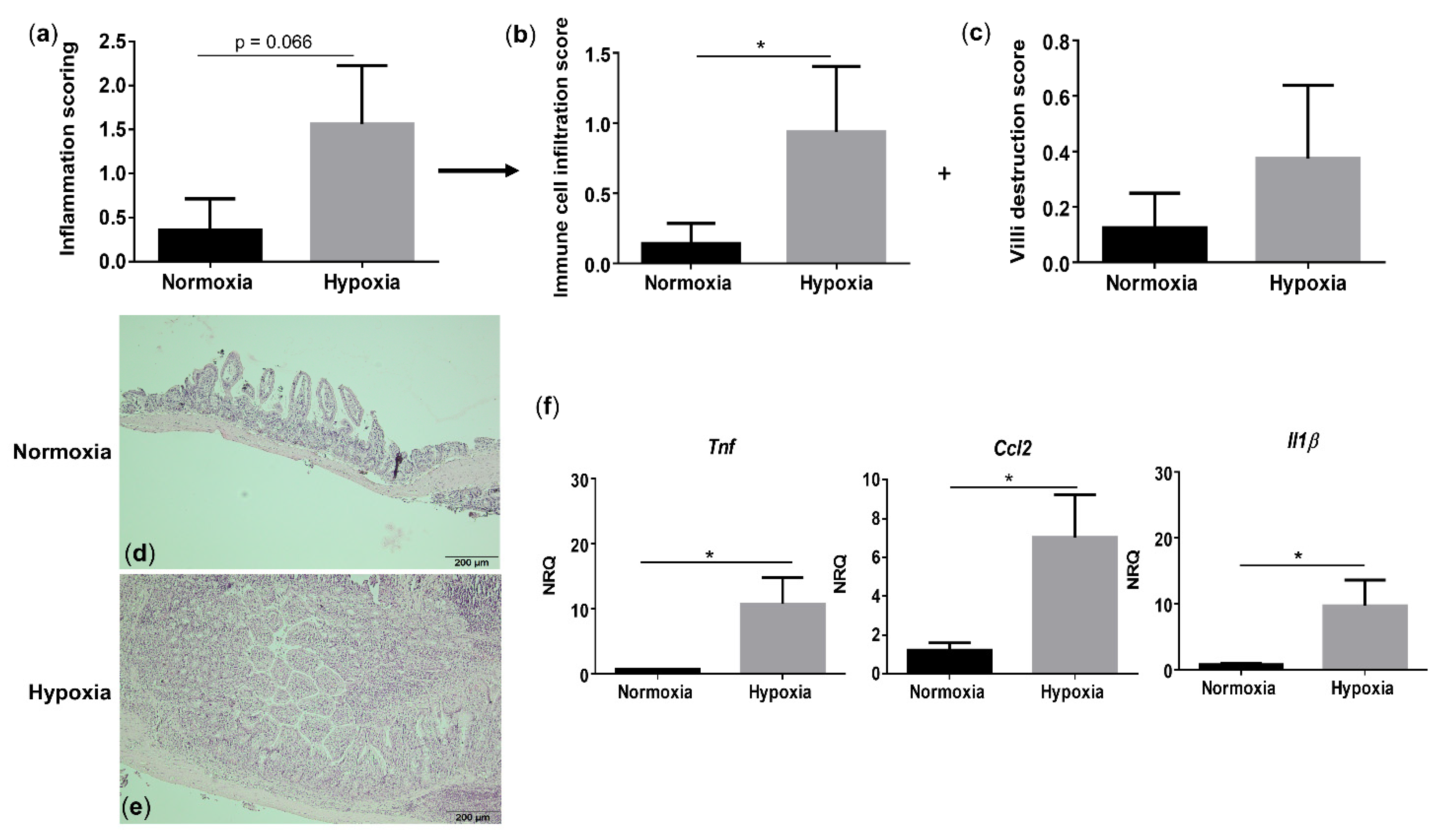 Biology 10 00887 g004