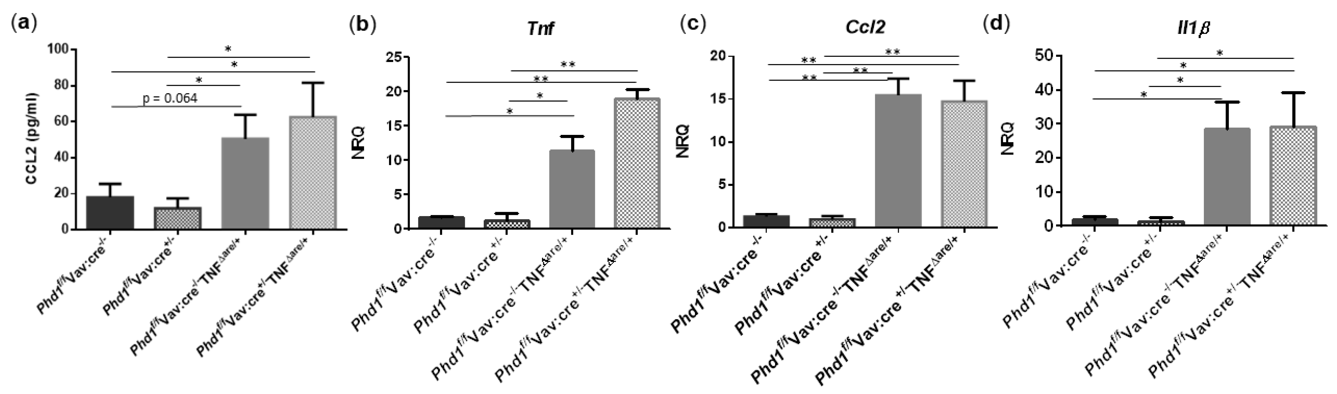 Biology 10 00887 g007